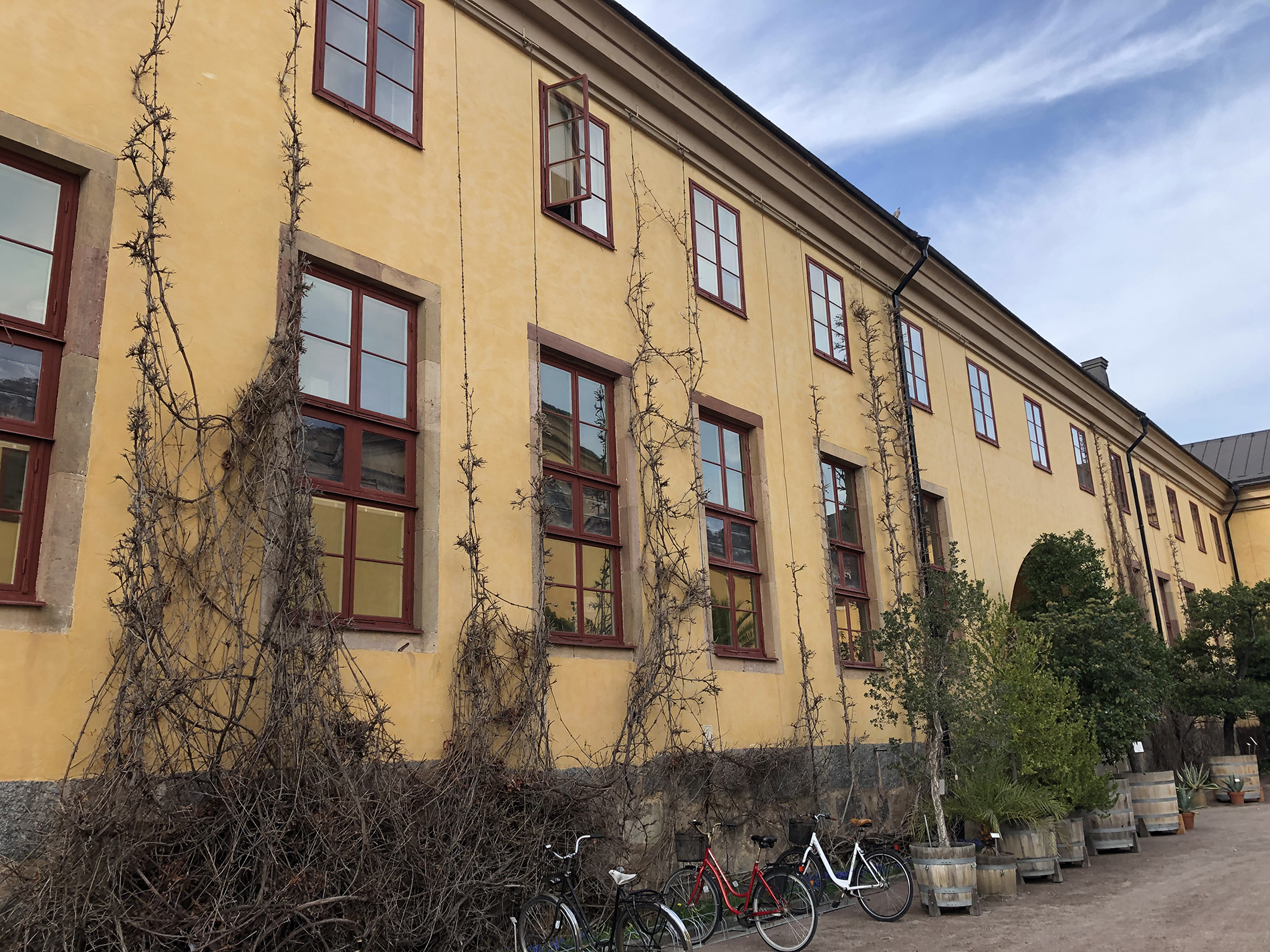 Linneanum, Uppsala. Foto: Fredrik Mats Nilsson
