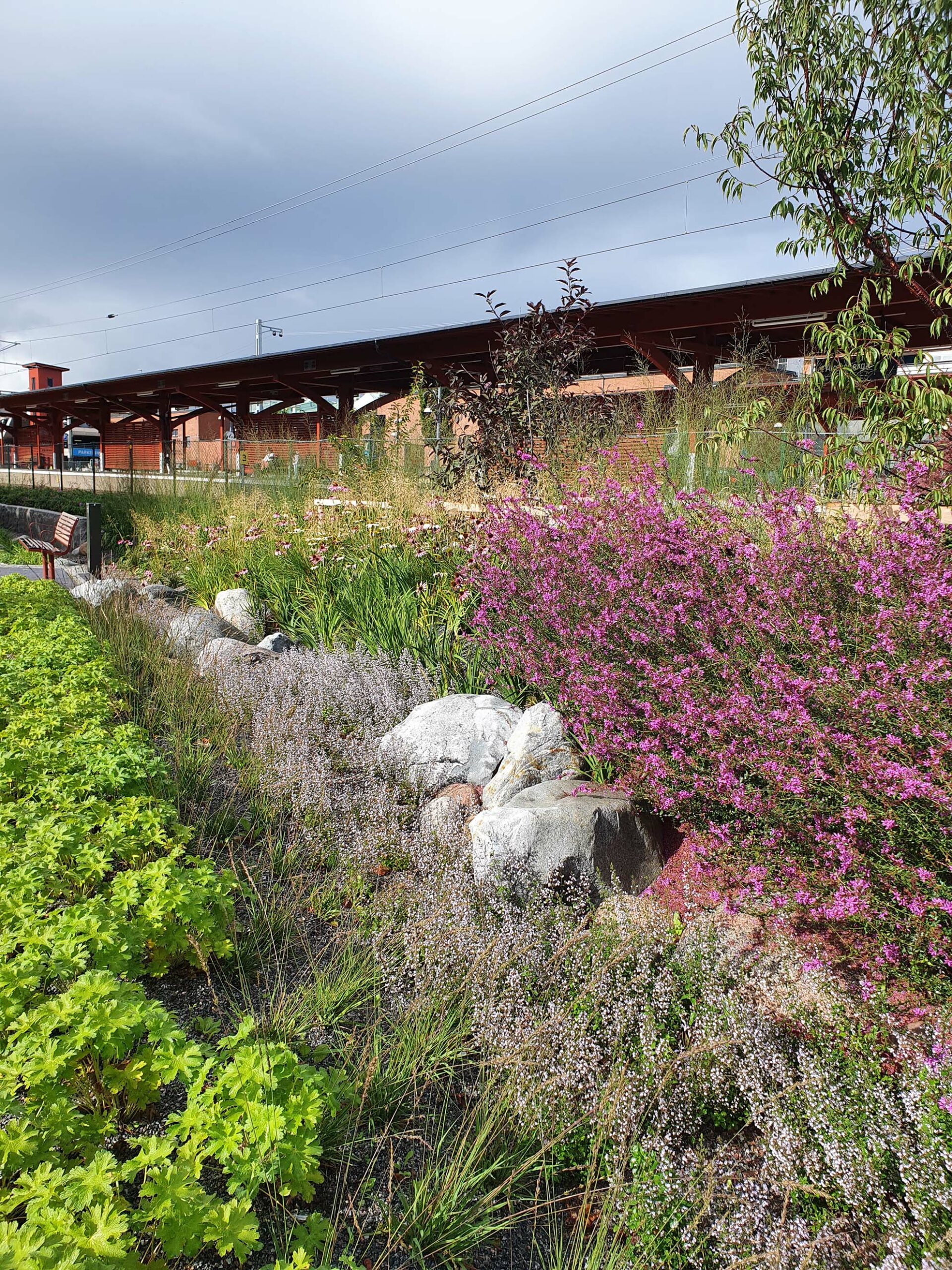Järnvägsparken Åkersberga, Topia Landskapsarkitekter. Foto: Topia. Järnvägsparken Åkersberga, Topia Landskapsarkitekter. Foto: Topia.