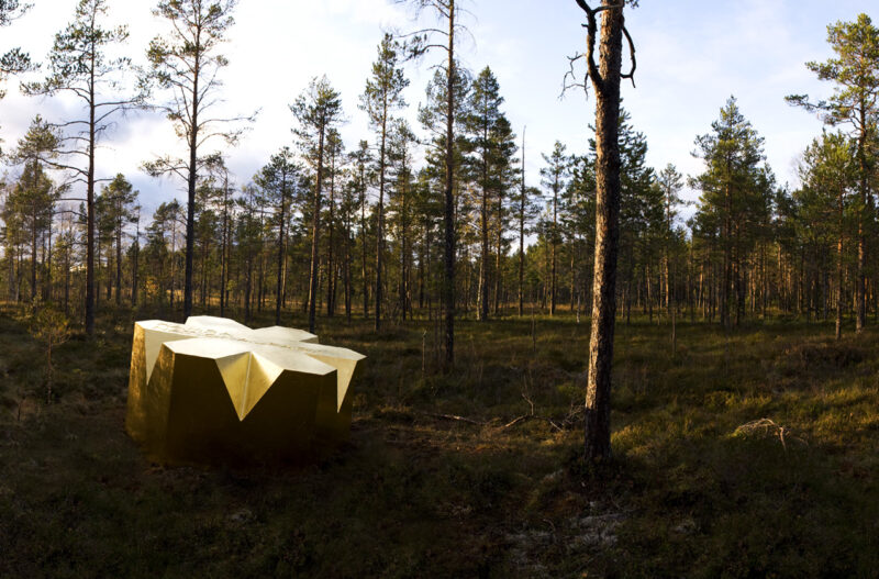 Hamra nationalpark, Ljusdal. Foto: Henrik Lindvall.