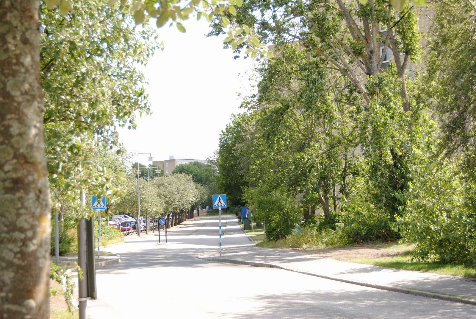 Örsvängen, en lugn 30km/h gata utan genomfartstrafik.