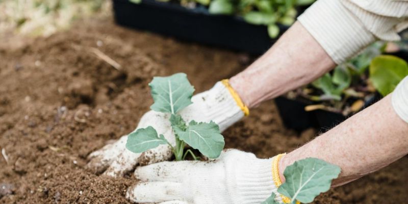 Trädgårdsdag med vårtema