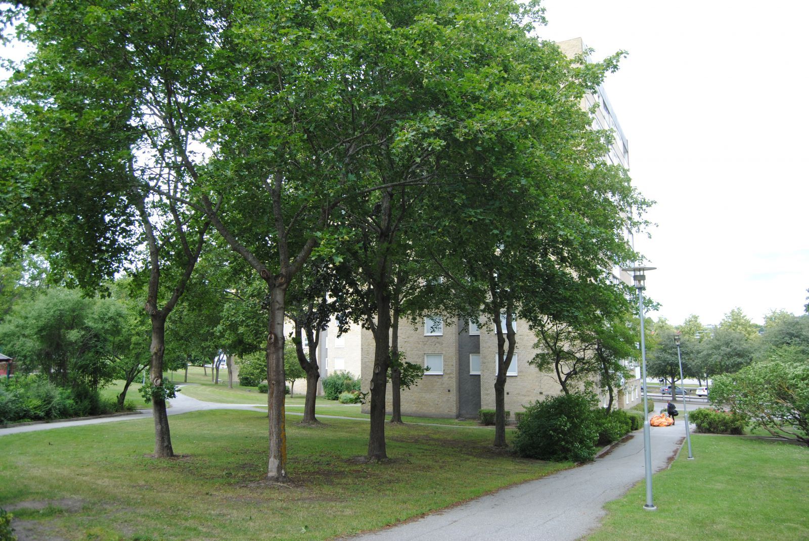 Skön grönska mellan vid Örsvängen 11.