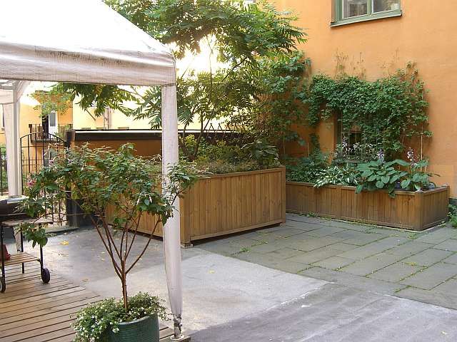 Grön bakgård