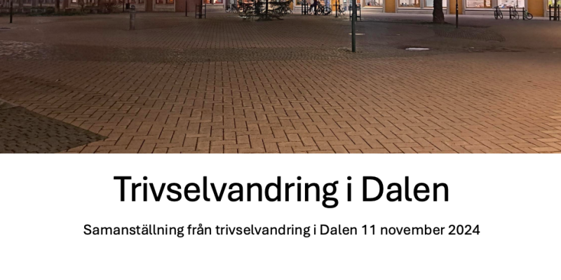Sammanställning från Trivselvandringen i november