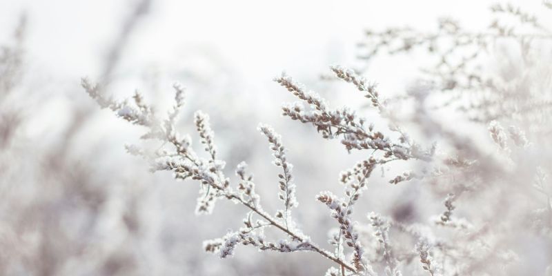 Uppvärmning och energieffektivitet