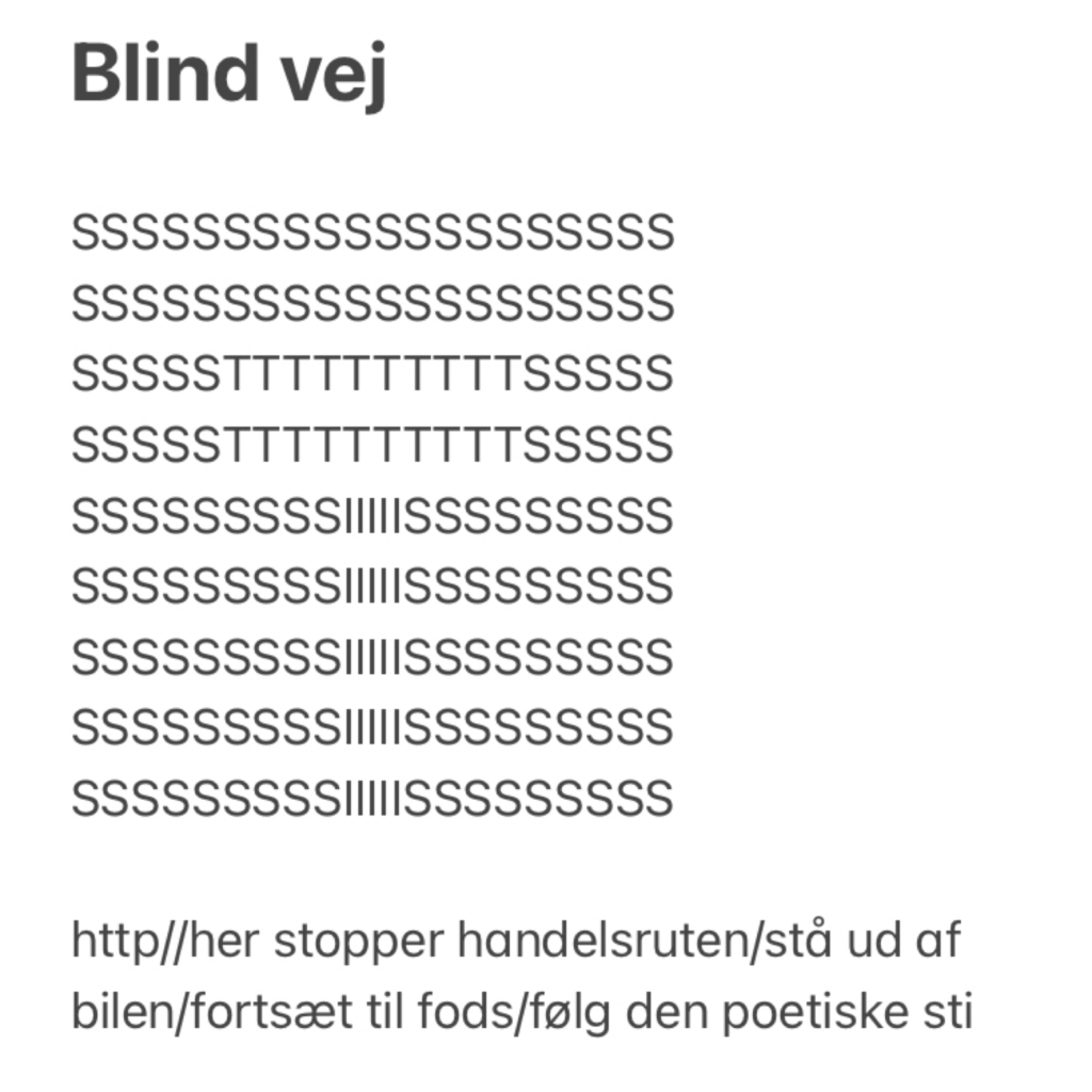 Blind vej