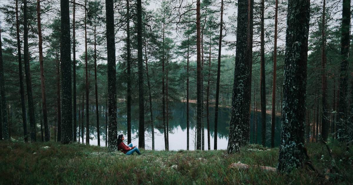 スウェーデン　洋書　本　National Parks of Sweden スウェーデン 洋書 本 National Parks of Sweden