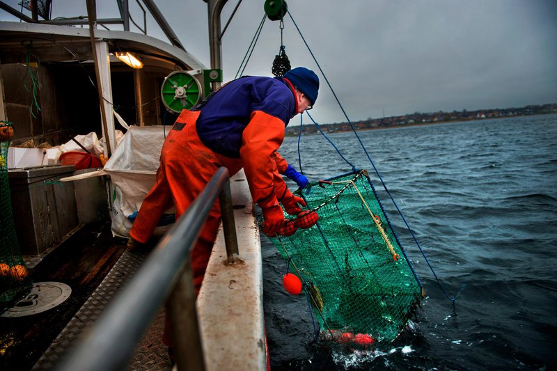Pêche sur la Côte Ouest