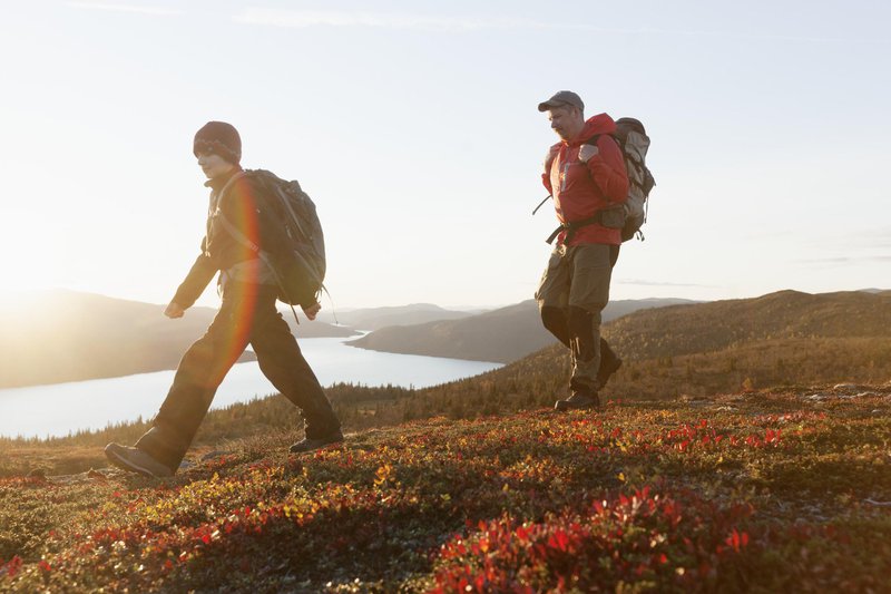 Borgafjäll, Dorotea county, Västerbotten