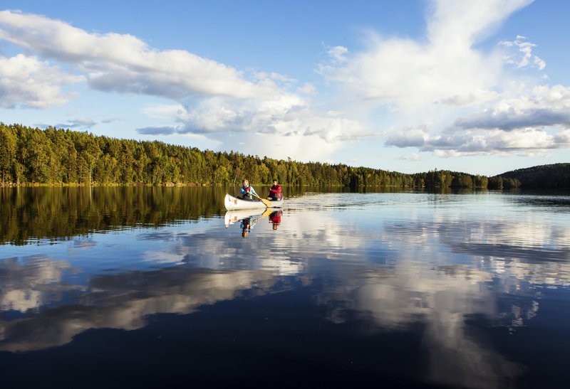 Explore Dalsland in your canoe