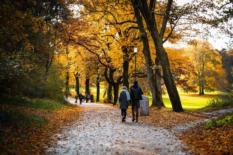 Slottsskogen in Göteborg