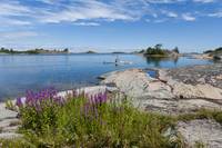 洋楽 Kozmic Gurt Brodhas Grow in Stockholm Kayaking20in20the20archipelago
