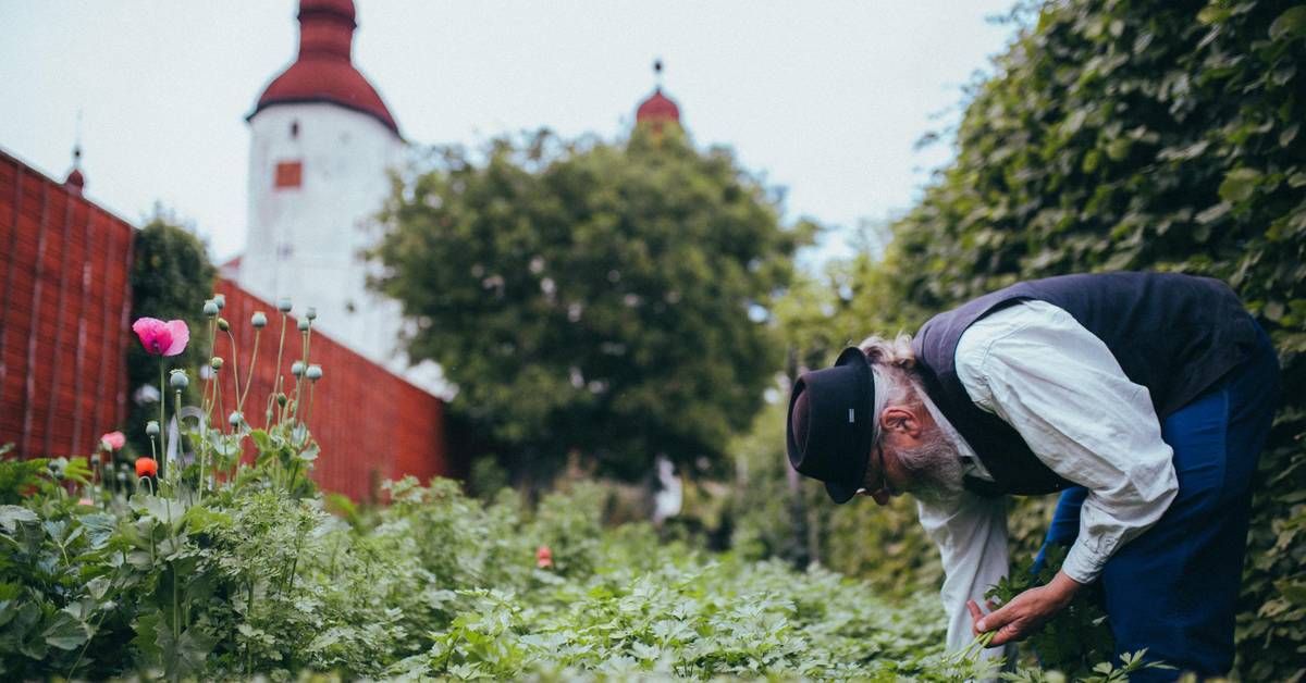 スウェーデン式ガーデン 写真集「Swedish Details Gardens」 スウェーデン式ガーデン 写真集「Swedish Details Gardens」 A