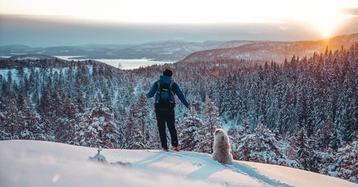 スウェーデン　洋書　本　National Parks of Sweden USA National Parks: Lands of Wonder: DK Travel