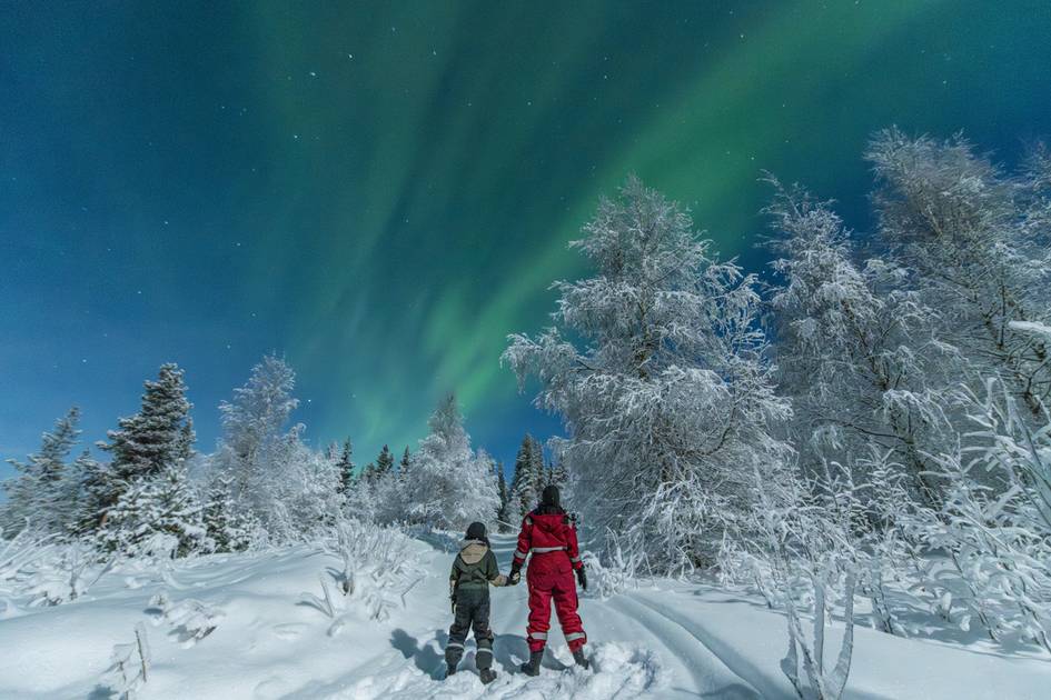 SwedishLaplnadwintersession-