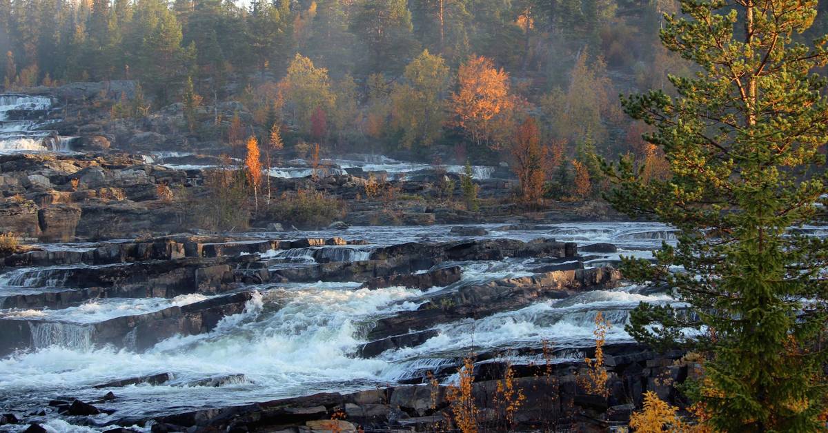 visitsweden.de