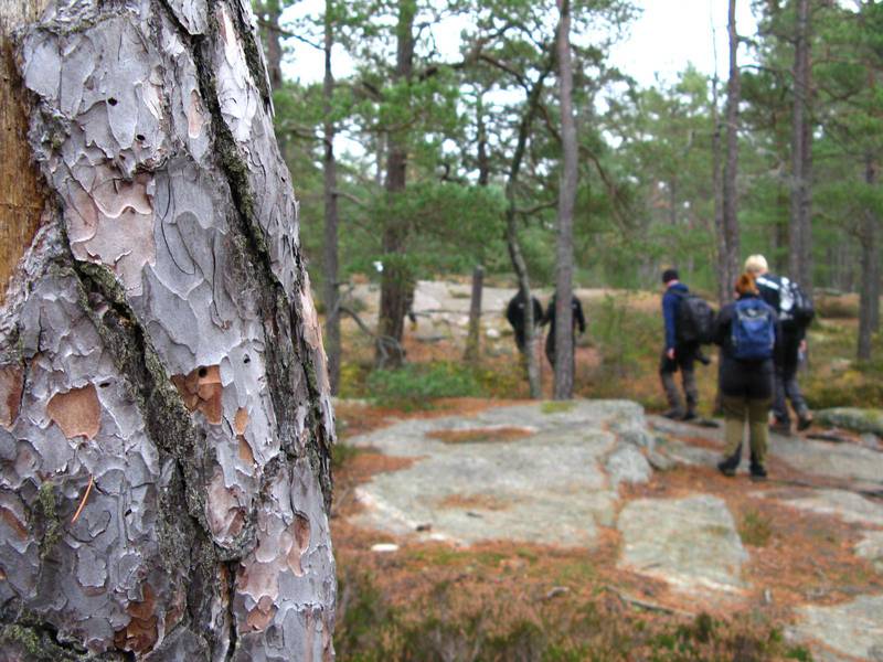 スウェーデン　洋書　本　National Parks of Sweden スウェーデン 洋書 本 National Parks of Sweden