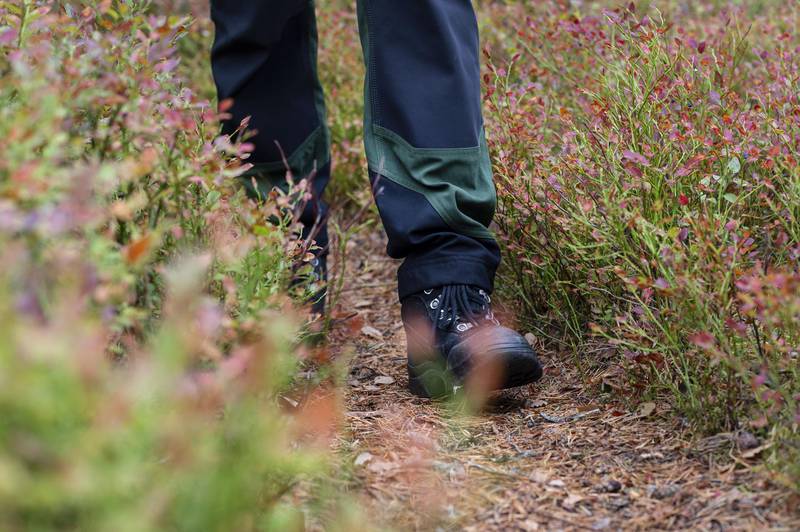 Hiking in West Sweden