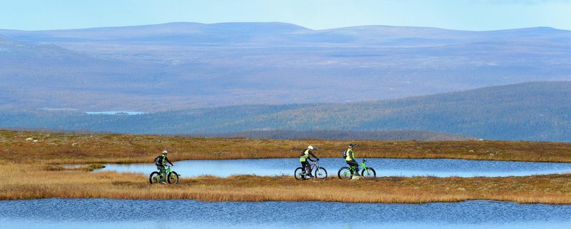 Västerbotten, Sorsele, fat bike tours