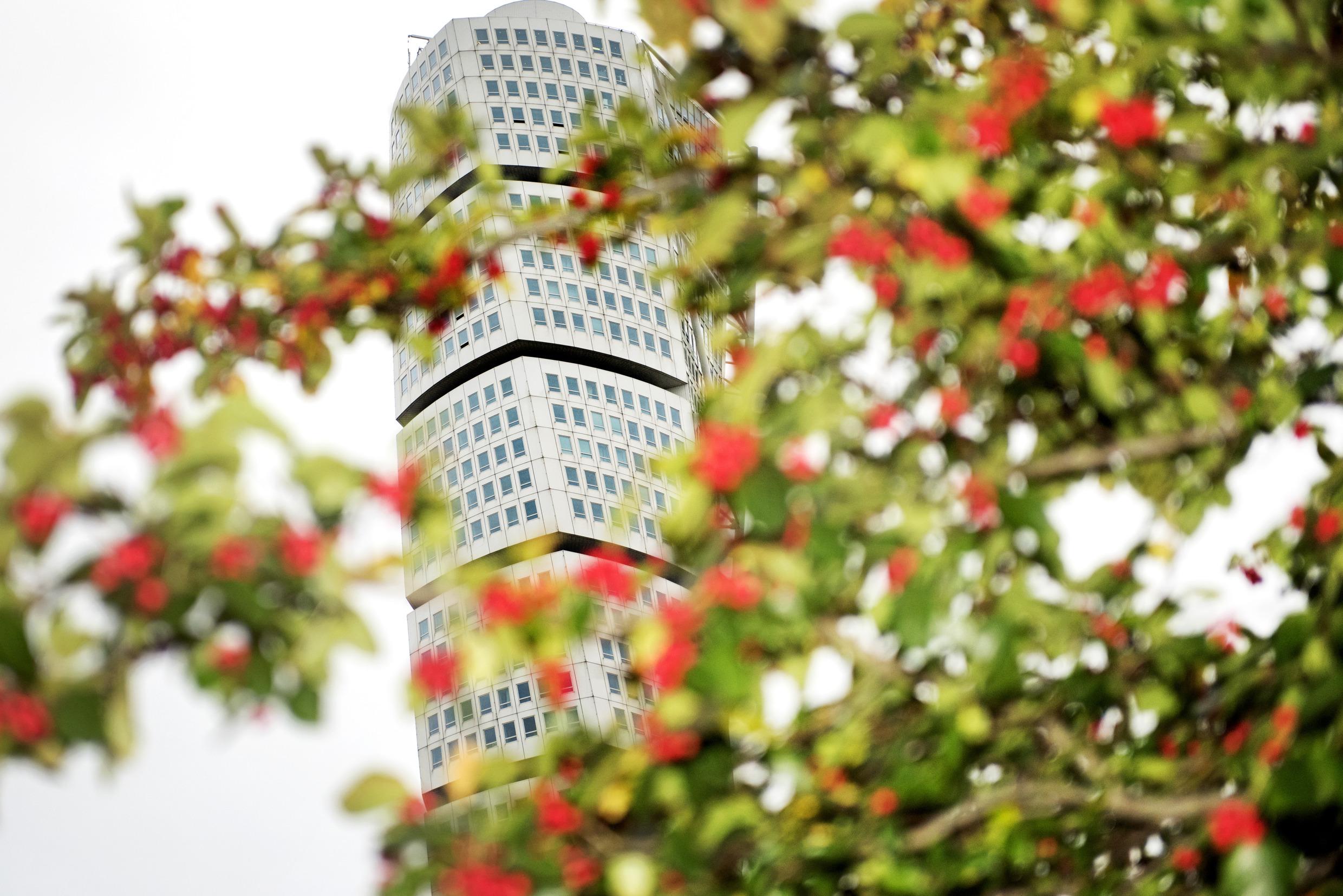 The Turning Torso high-rise seen through branches of a tree.