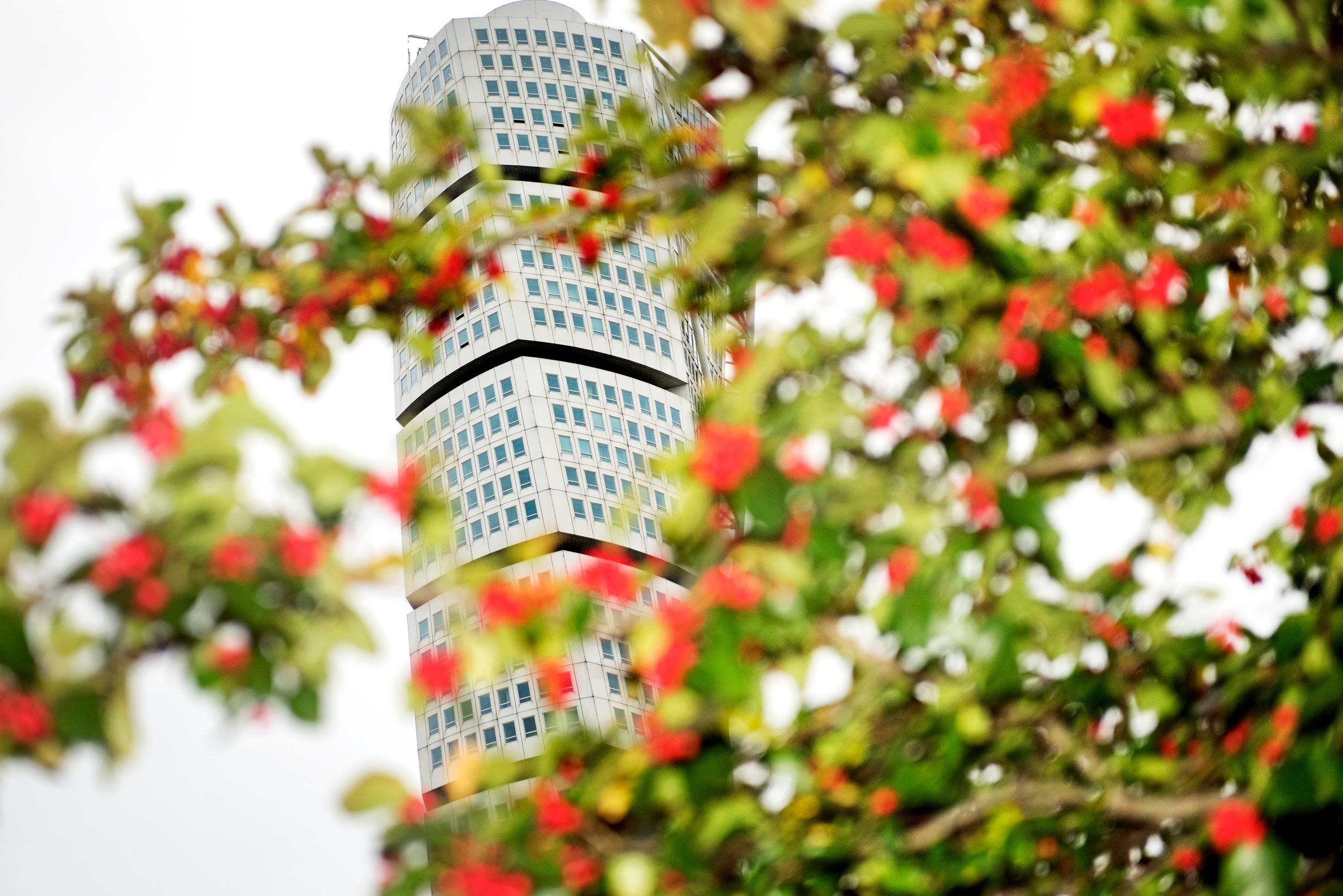 De Turning Torso gezien door takken van een boom.