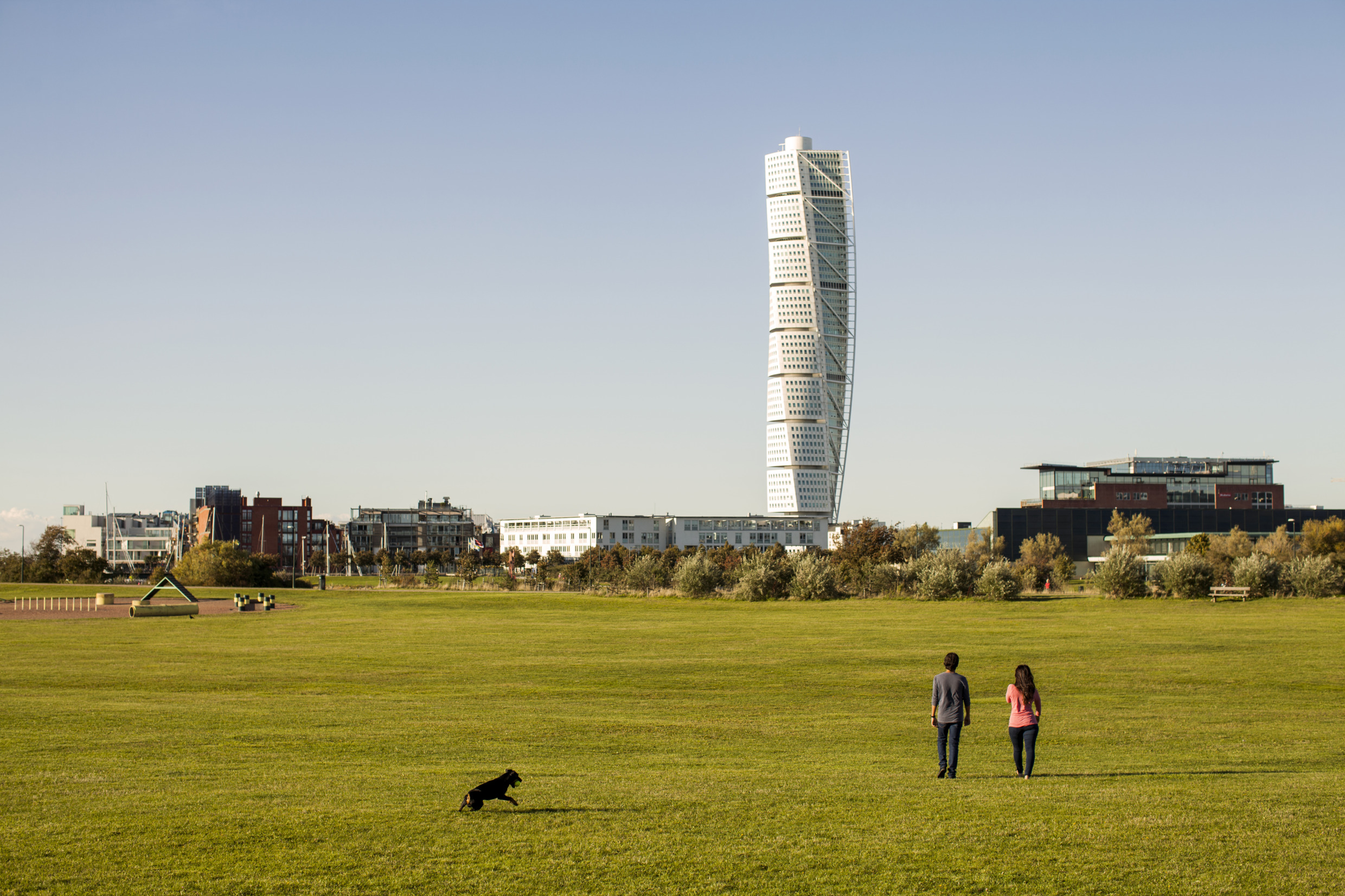 Twee mensen lopen met hun hond op een groot veld. Op de achtergrond is de Turning Torso te zien.
