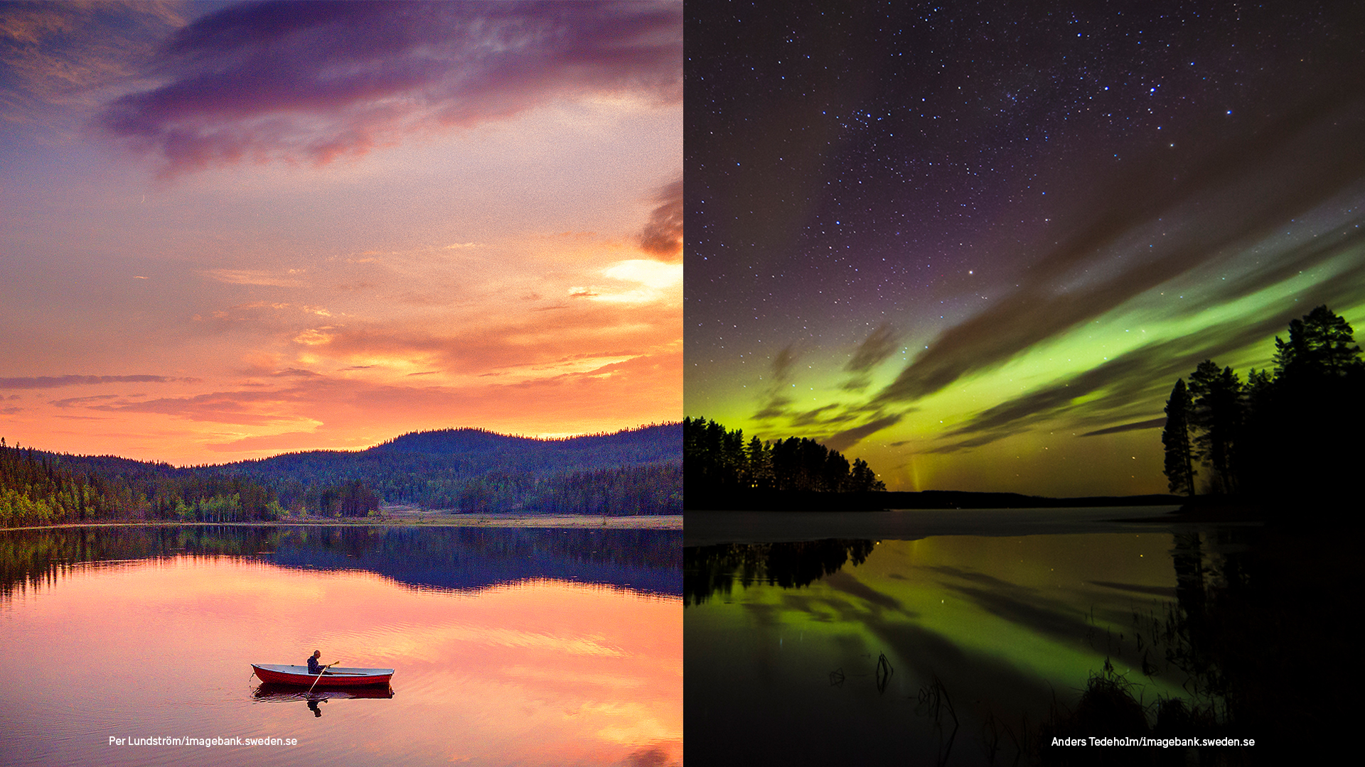 Een split-image die de seizoensuitersten van Zweden vastlegt. Links roeit een persoon een bootje op een rustig meer onder een goudroze hemel tijdens de middernachtzon. Rechts strekt het levendige groene noorderlicht zich uit over een nachtelijke sterrenhemel en weerspiegelt het in het ijs.