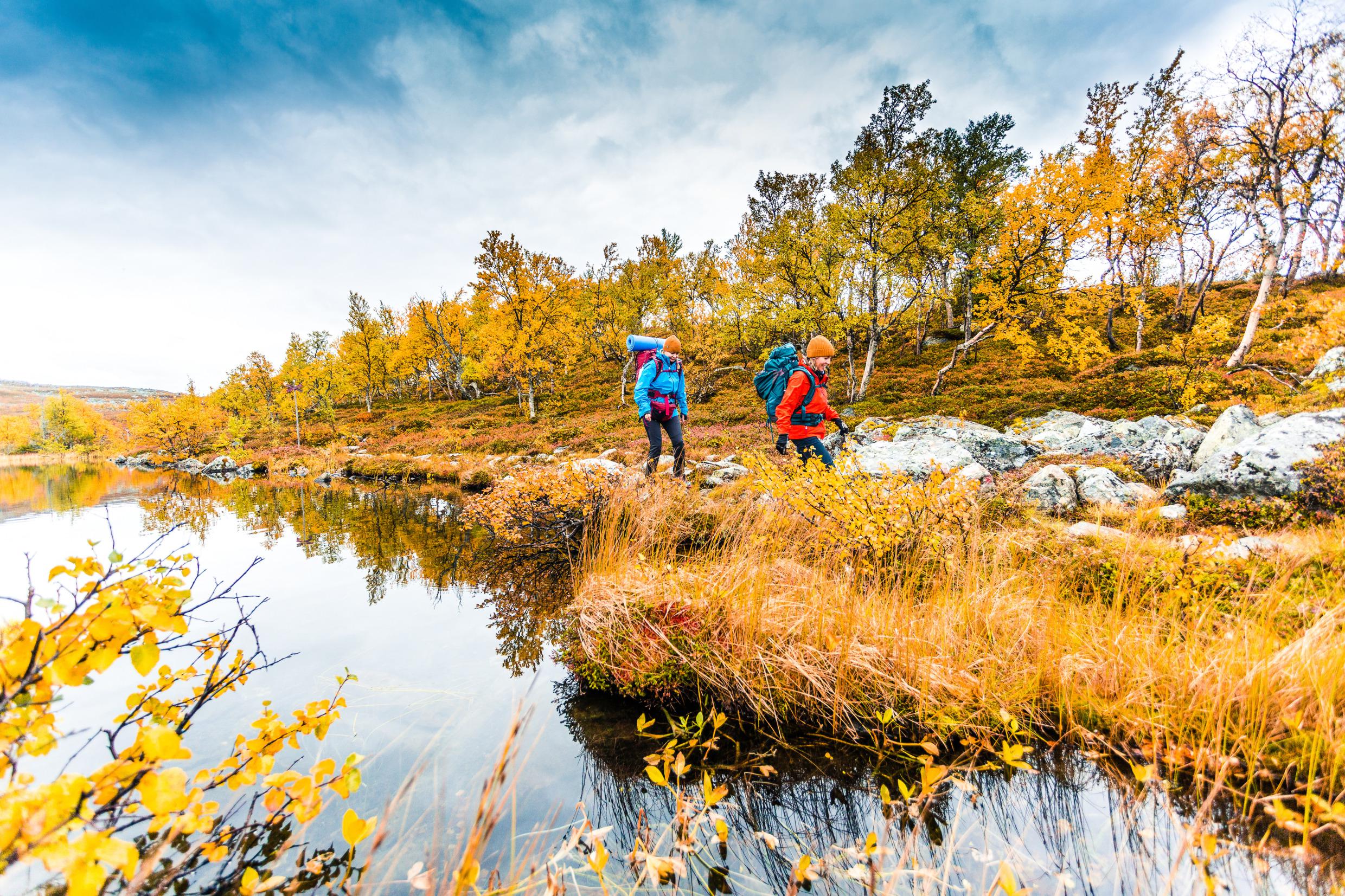 Randonnée à Vålådalen