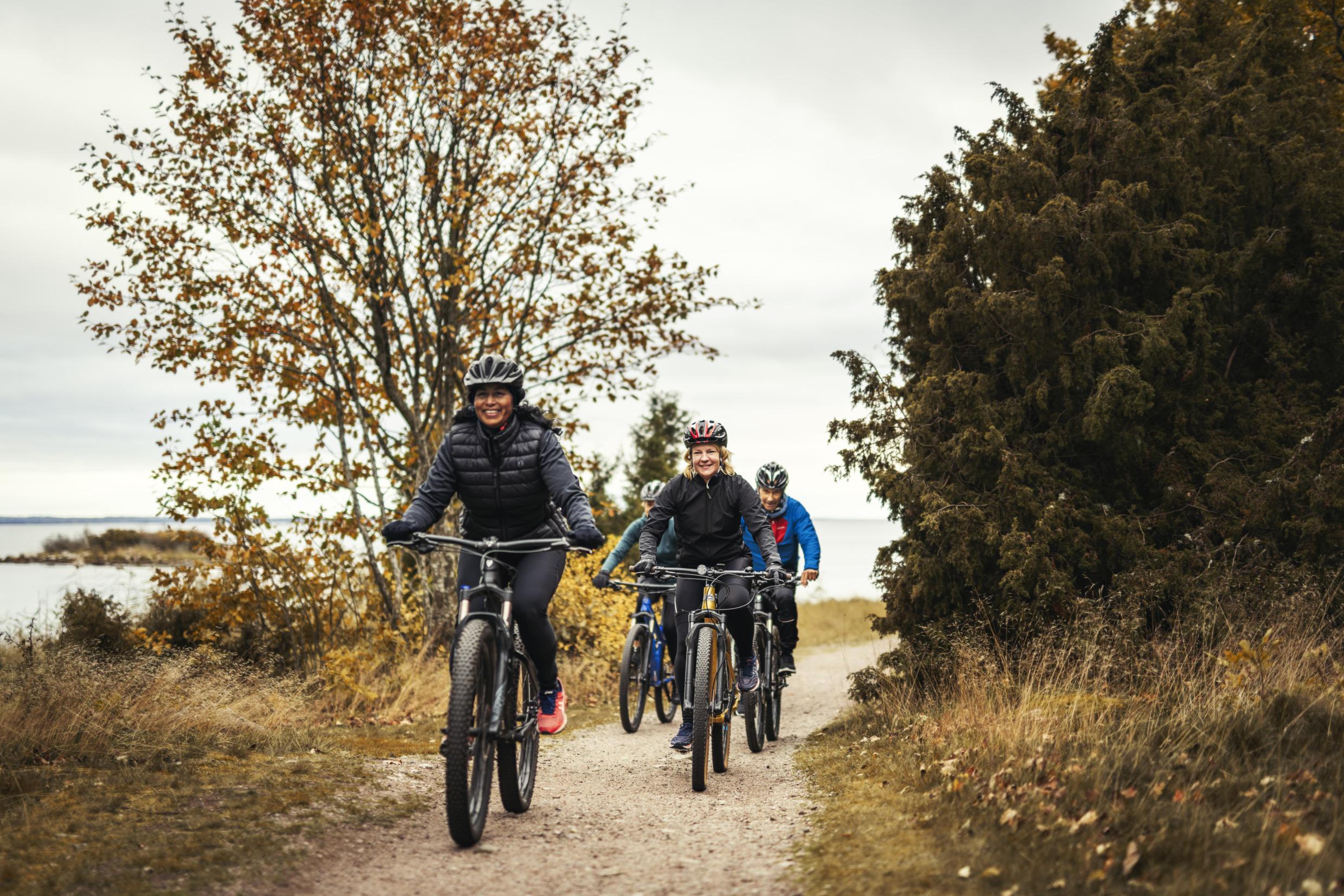 Vier Leute radeln an einem Herbsttag auf einem Weg am Meer.