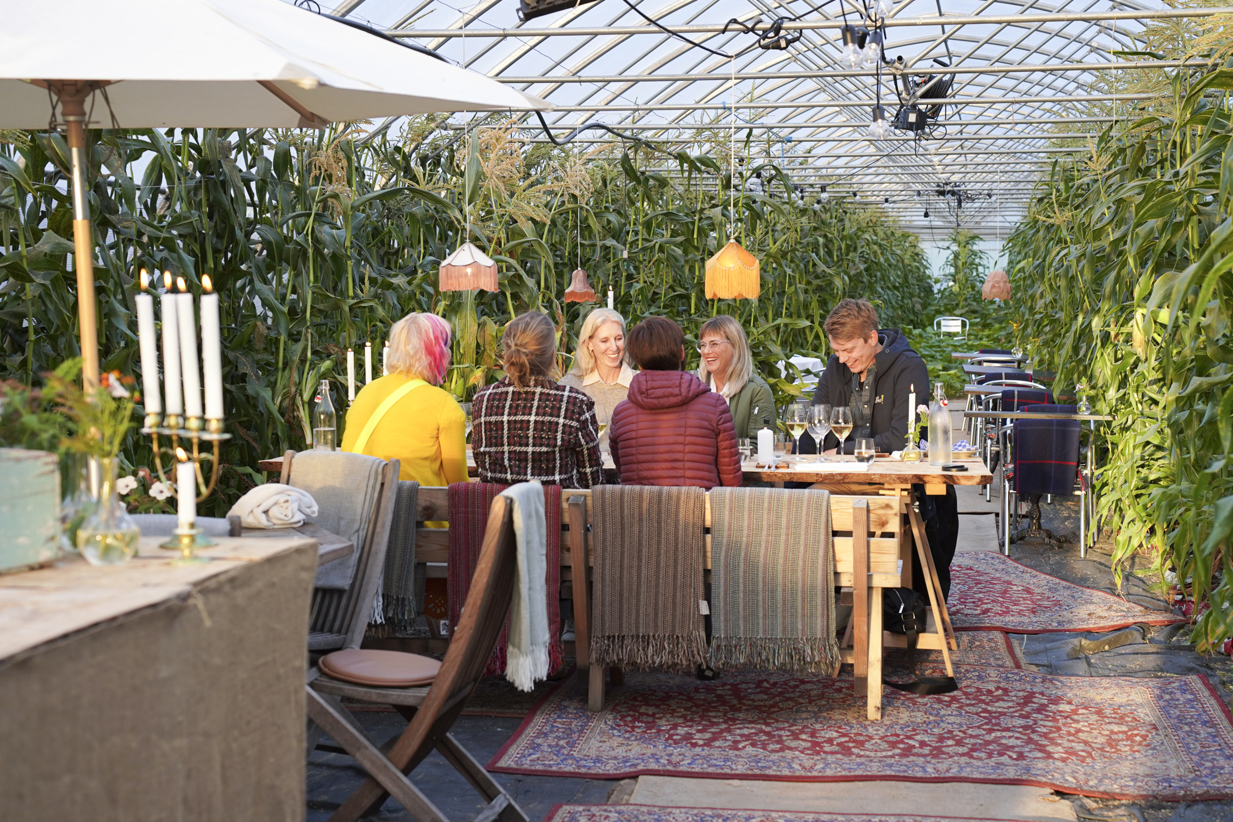 A group of friends are sitting at a table in a restaurant in a greenhouse.