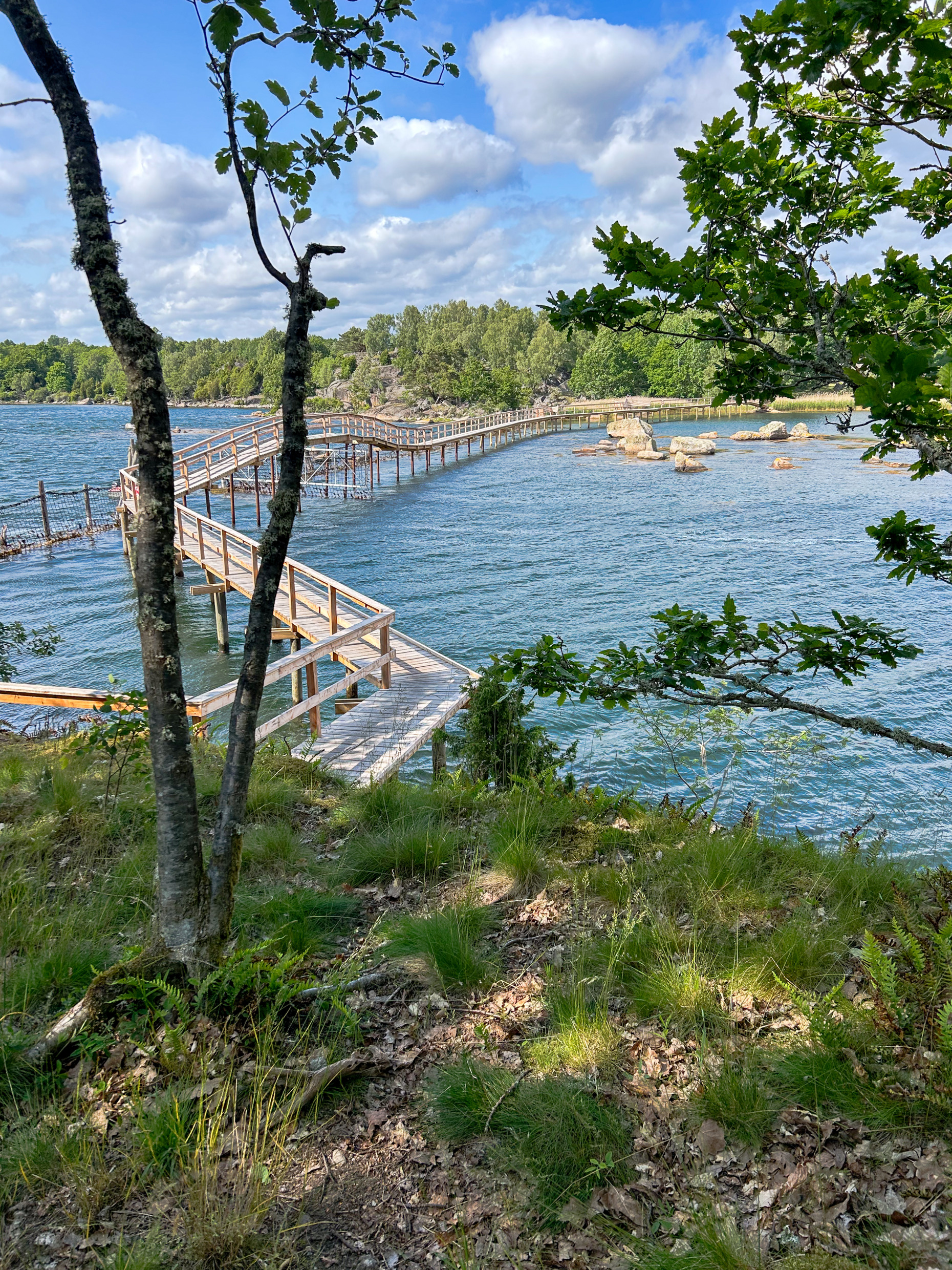 Een houten voetgangersbrug over een smal waterloopje op de wandelroute Eriksbergsleden, omgeven door kustbos en het landschap van het natuurreservaat.