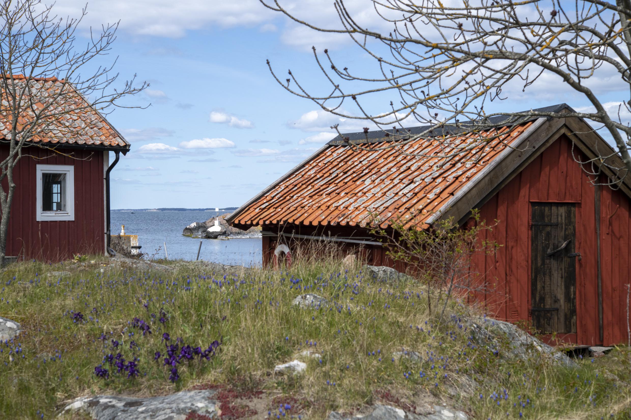 Zwei rote Hütten im Schärengarten im Frühling.