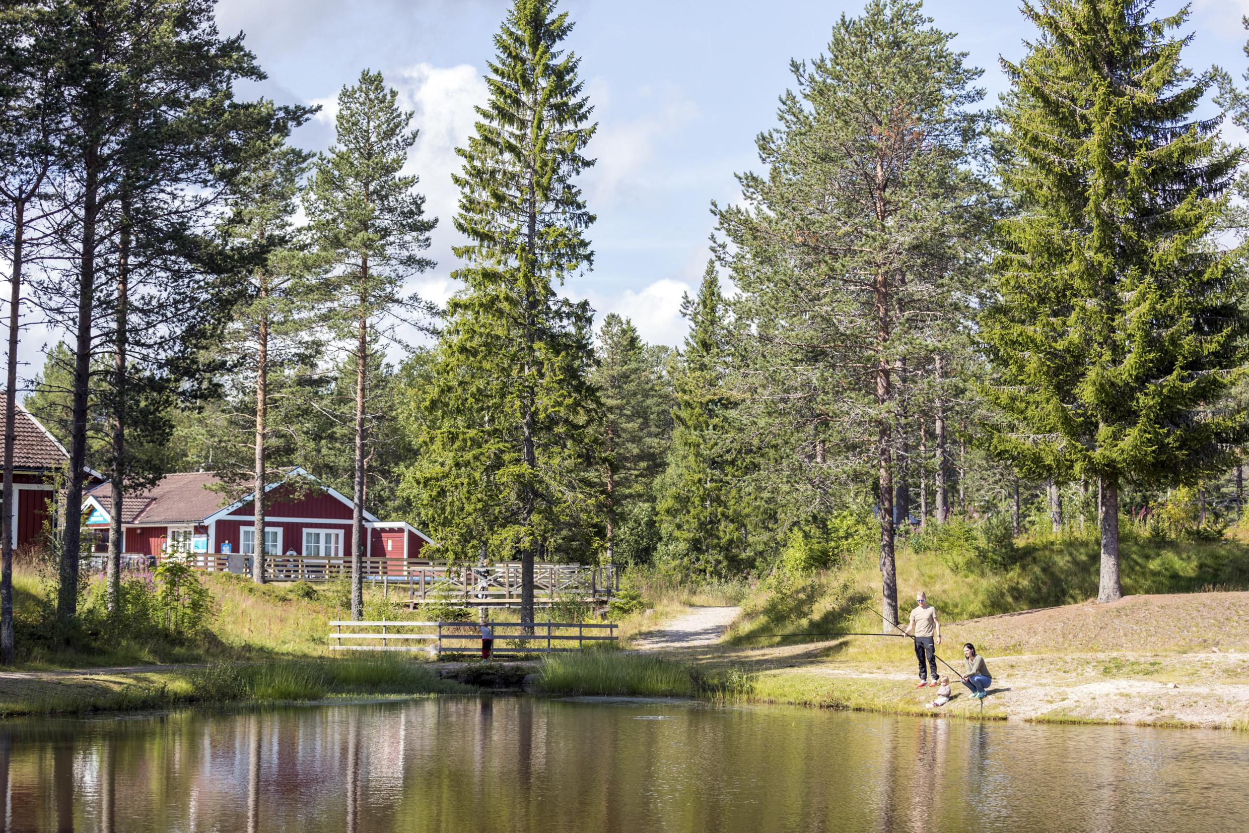 Een gezin van drie personen vist in de zomer in een meer.