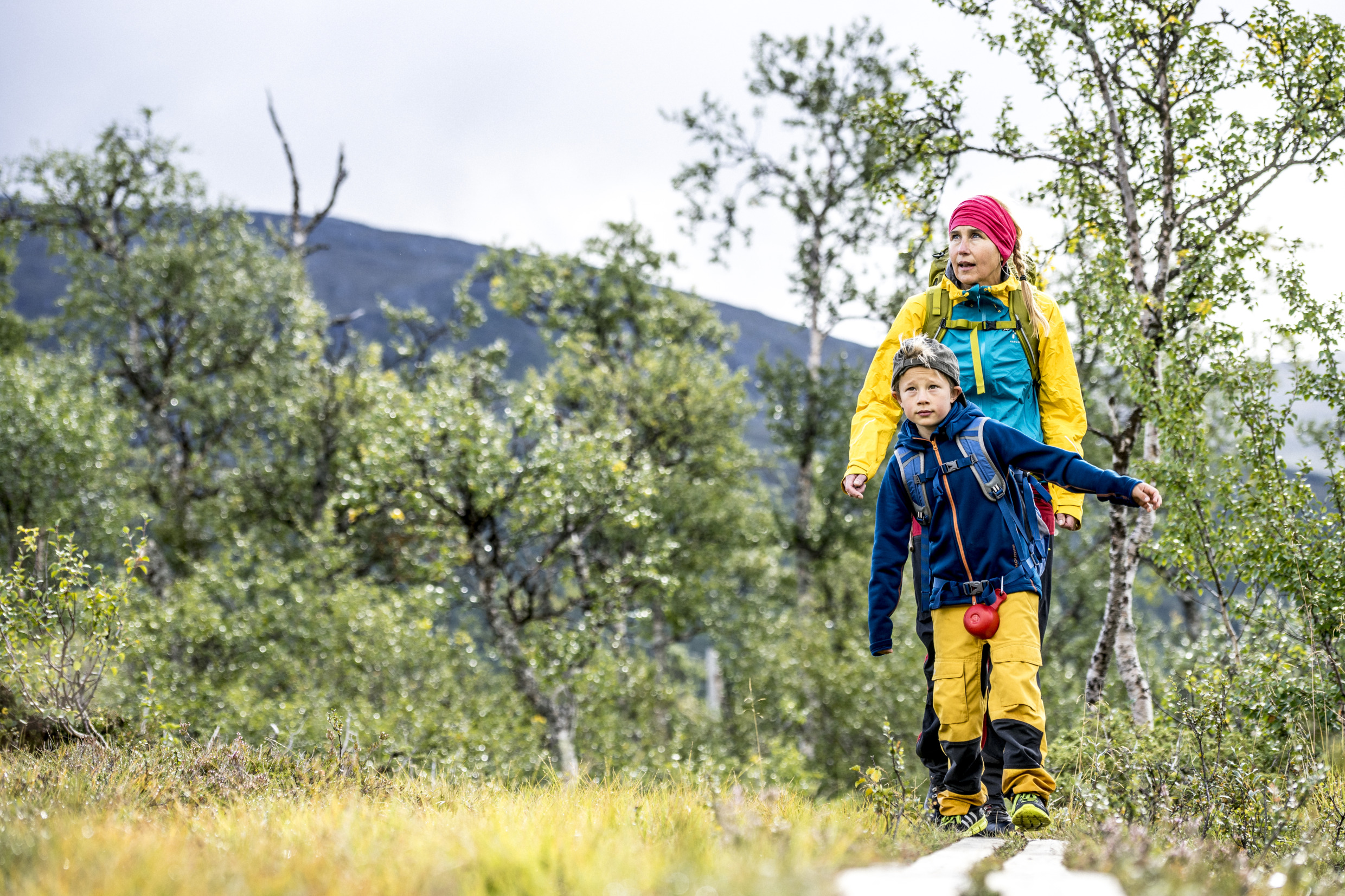 Een volwassene en een kind wandelen over een houten pad door een laag bergbos, met kleurrijke outdoorkleding en rugzakken.