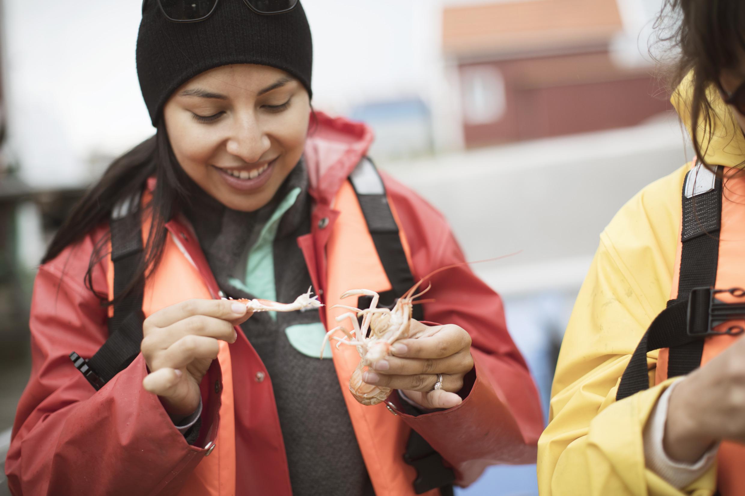 Seafood safari in West-Zweden