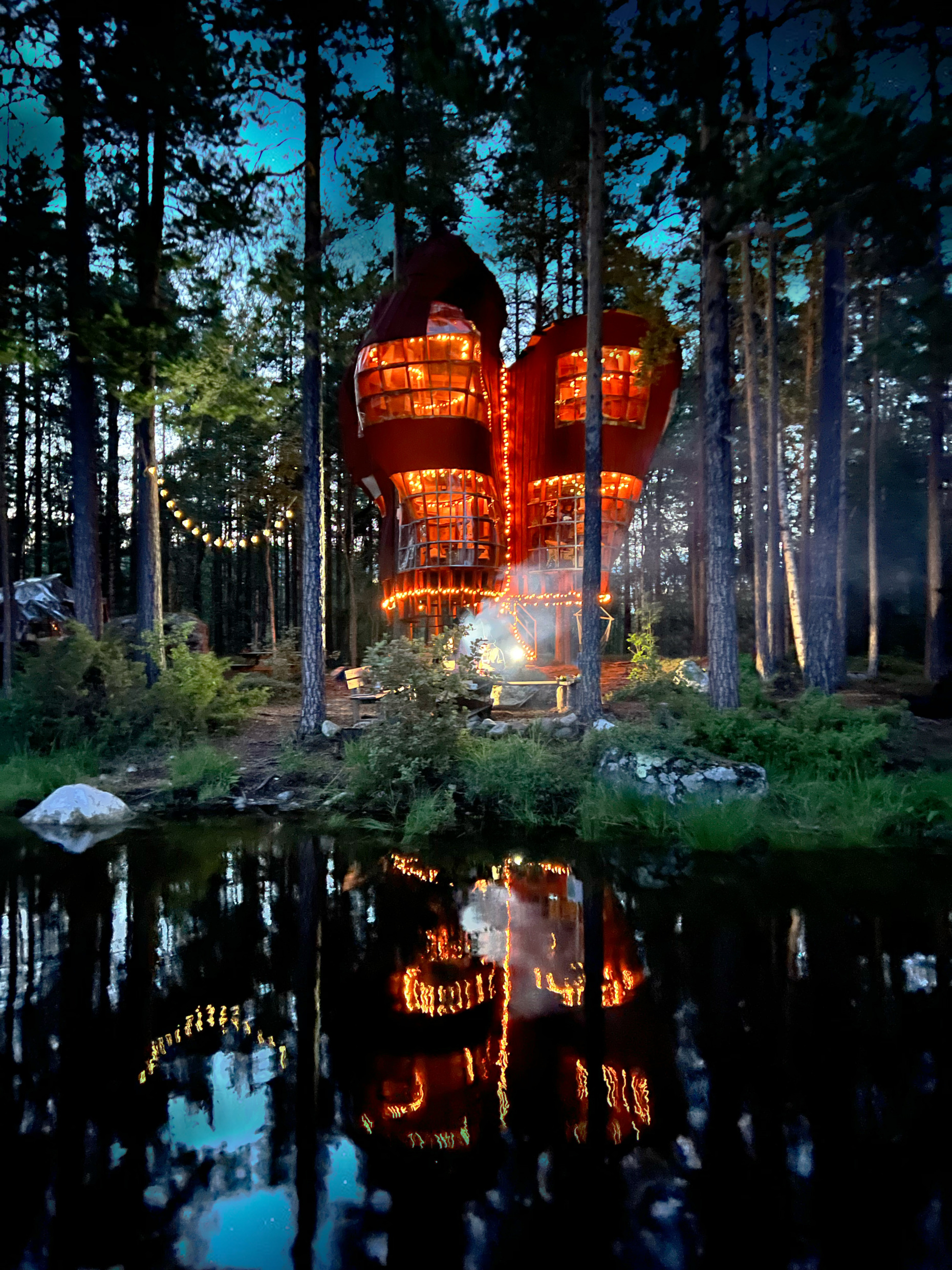 Lichtslingers vanuit een huis verlichten het bos en worden weerspiegeld in het water eronder.