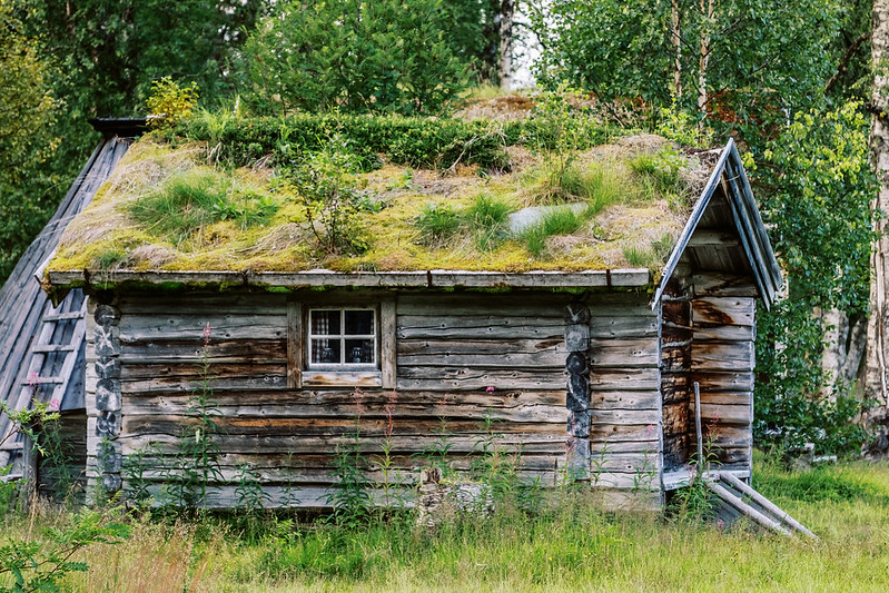 Een houten hut met groen op het dak.