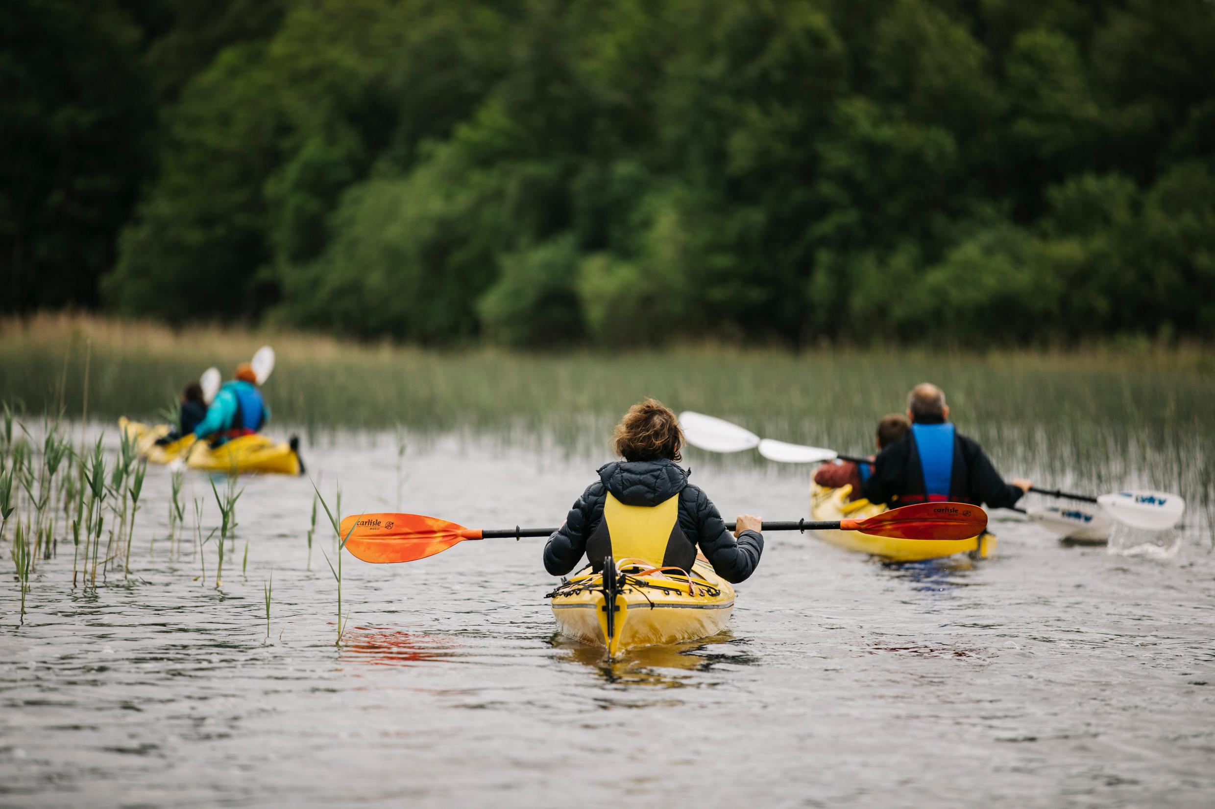 3 kajaks op een meer, omringd door riet en bomen op de achtergrond.