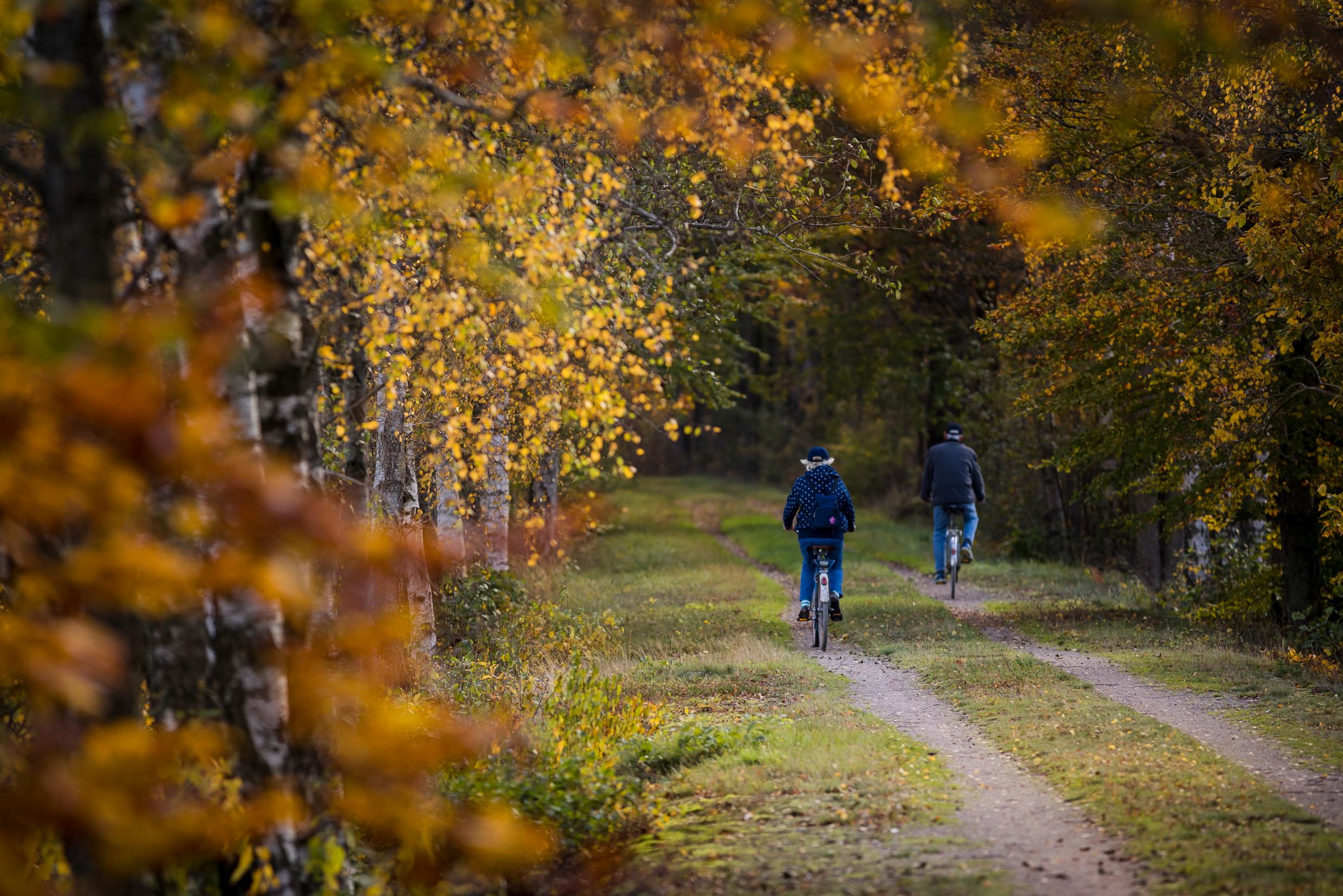 På cykel i Trollberget i Åsnen