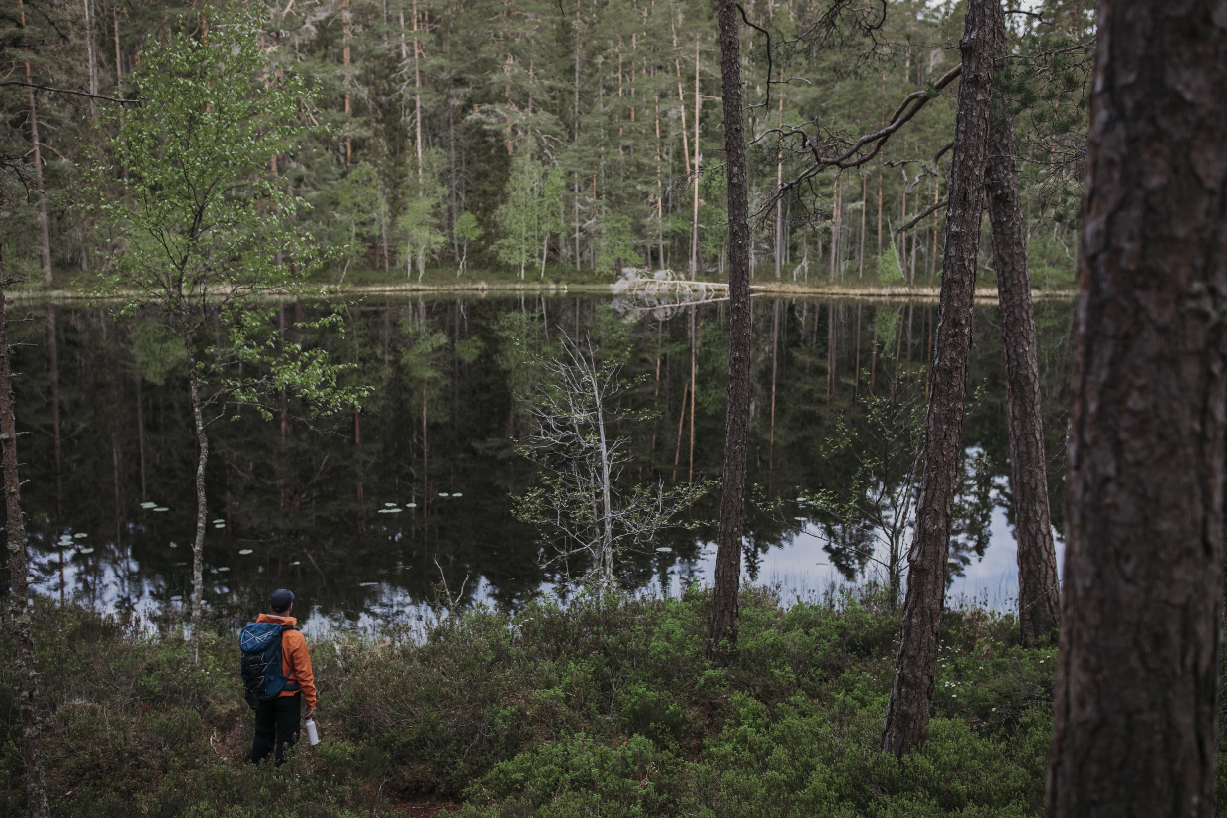 Nationalpark Norra Kvill