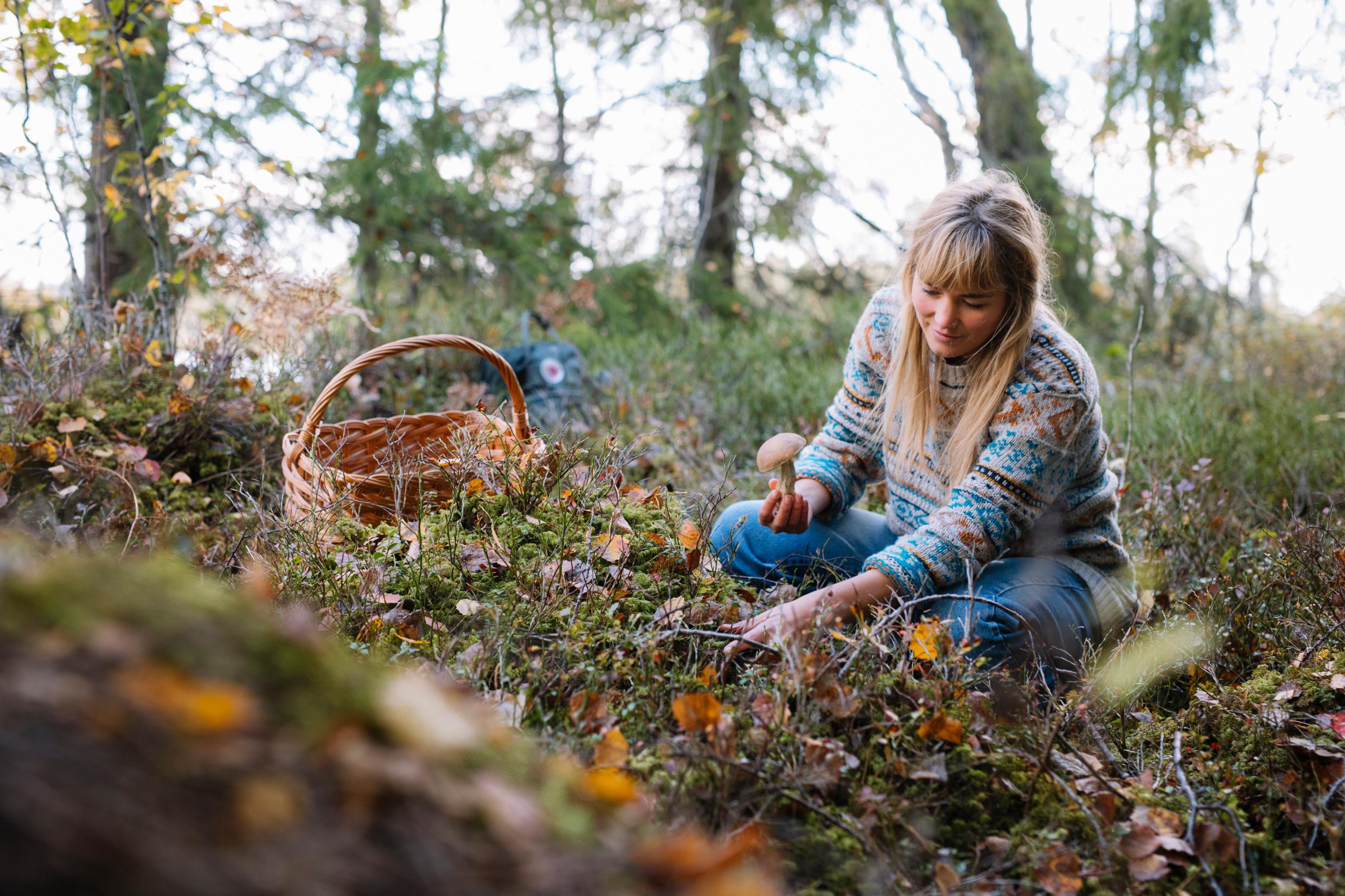 Een vrouw zit gehurkt naast een mandje in het bos en plukt.