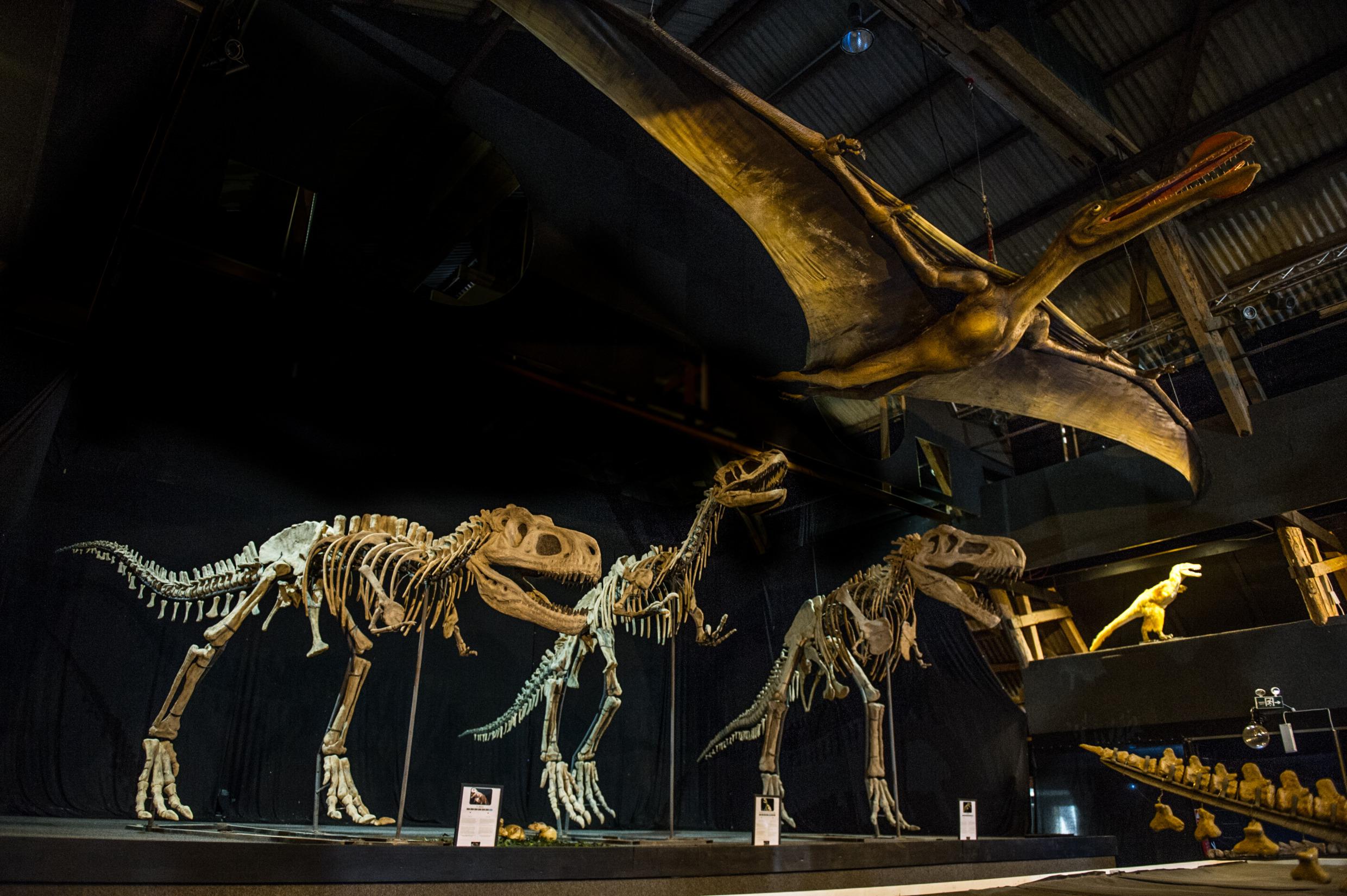 A World of Dinosaurs in Kalmar