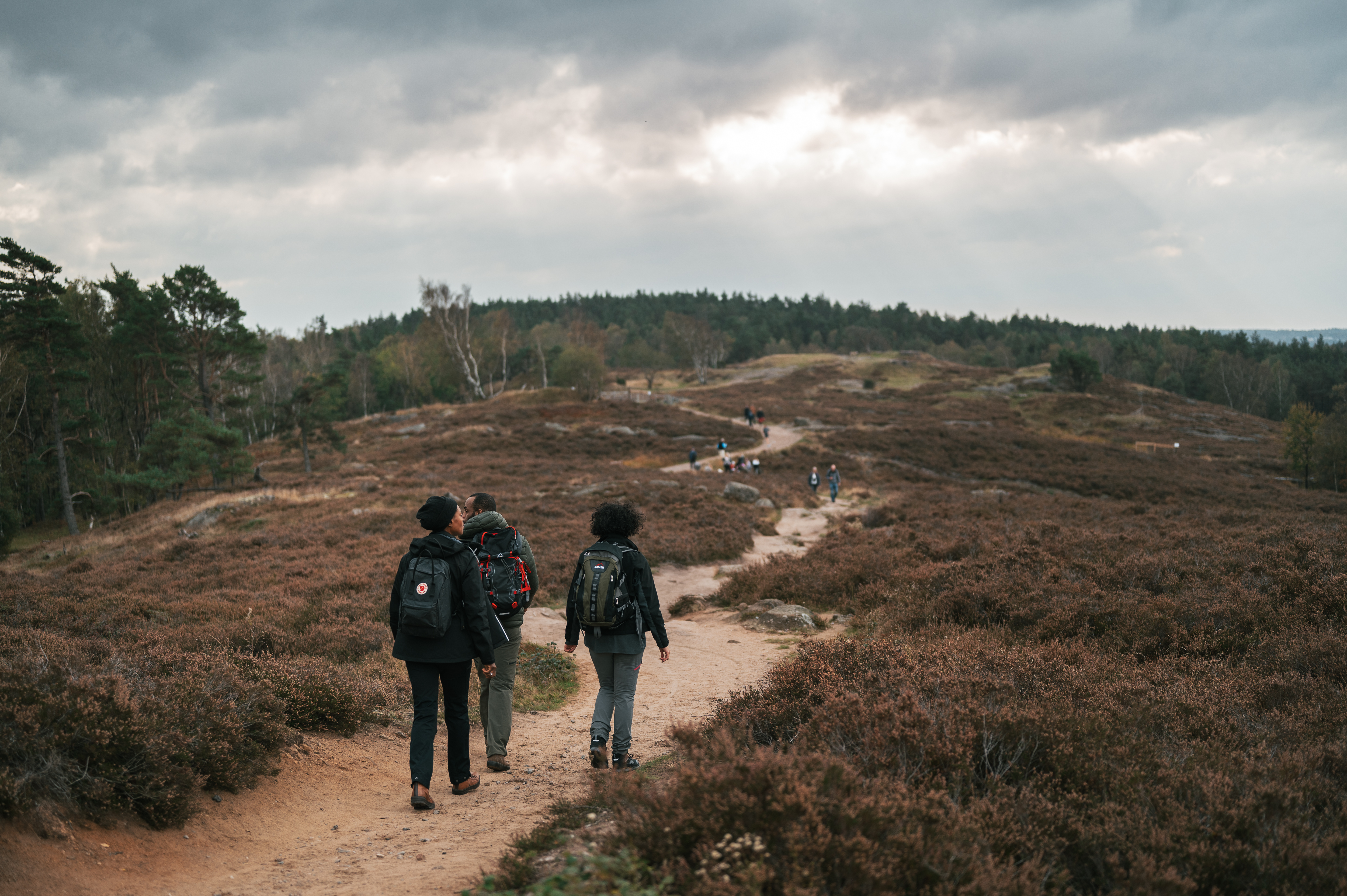 Änggårdsbergen