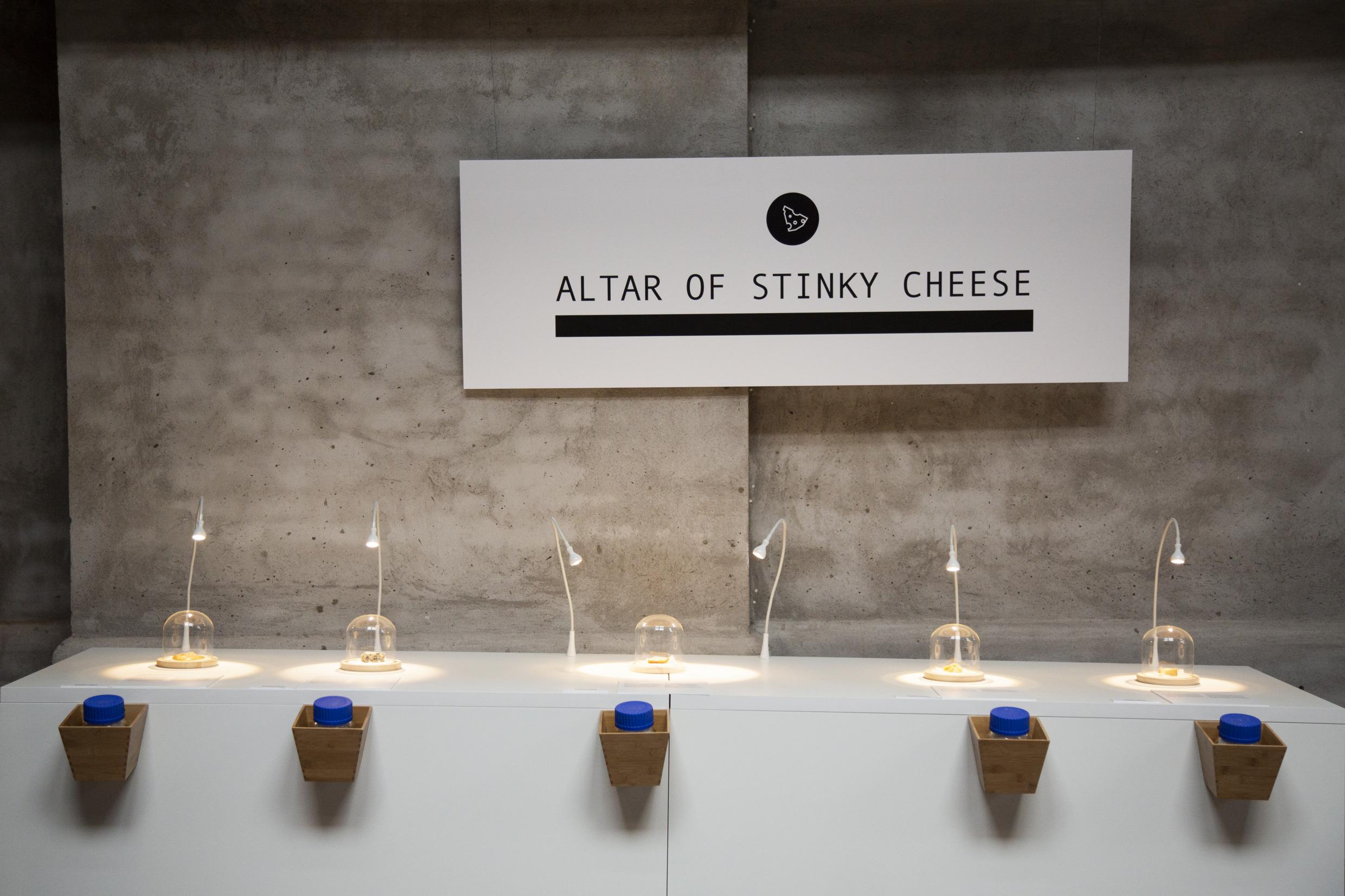 Disgusting Food Museum