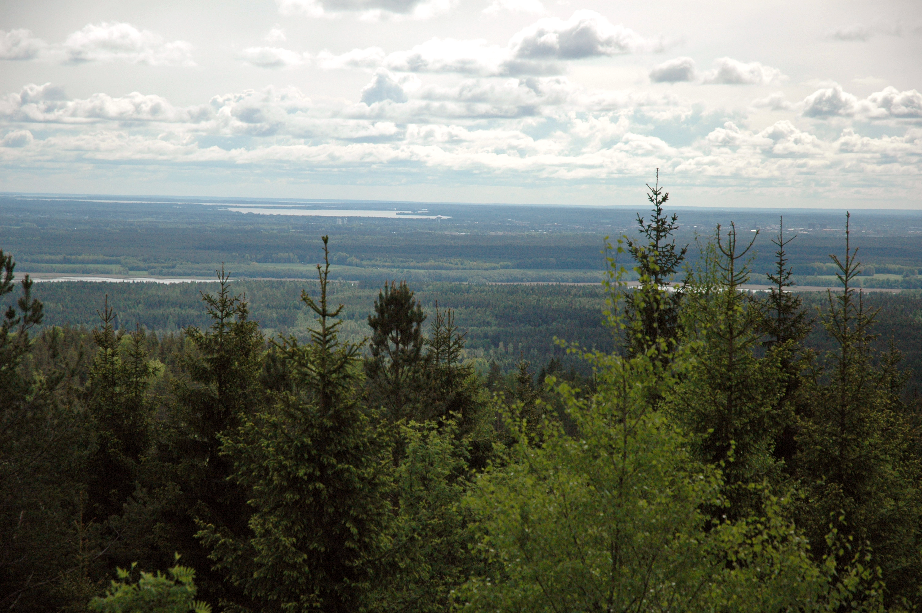View across forests and lakes from Kilsbergen in middle Sweden.