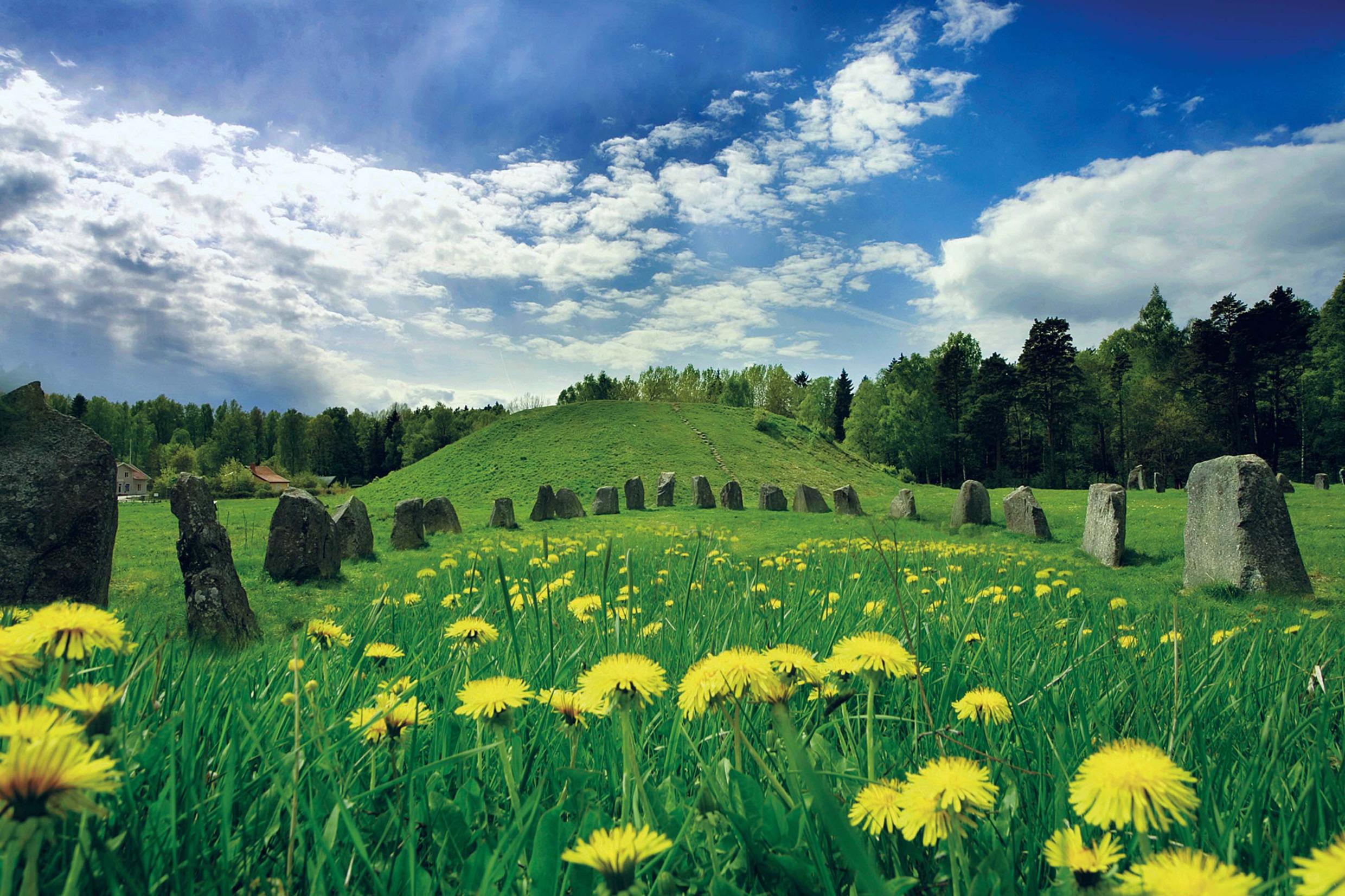 Een historische plek in de zomer, met oude grafstenen en runestenen die voor een tumulus zijn geplaatst.