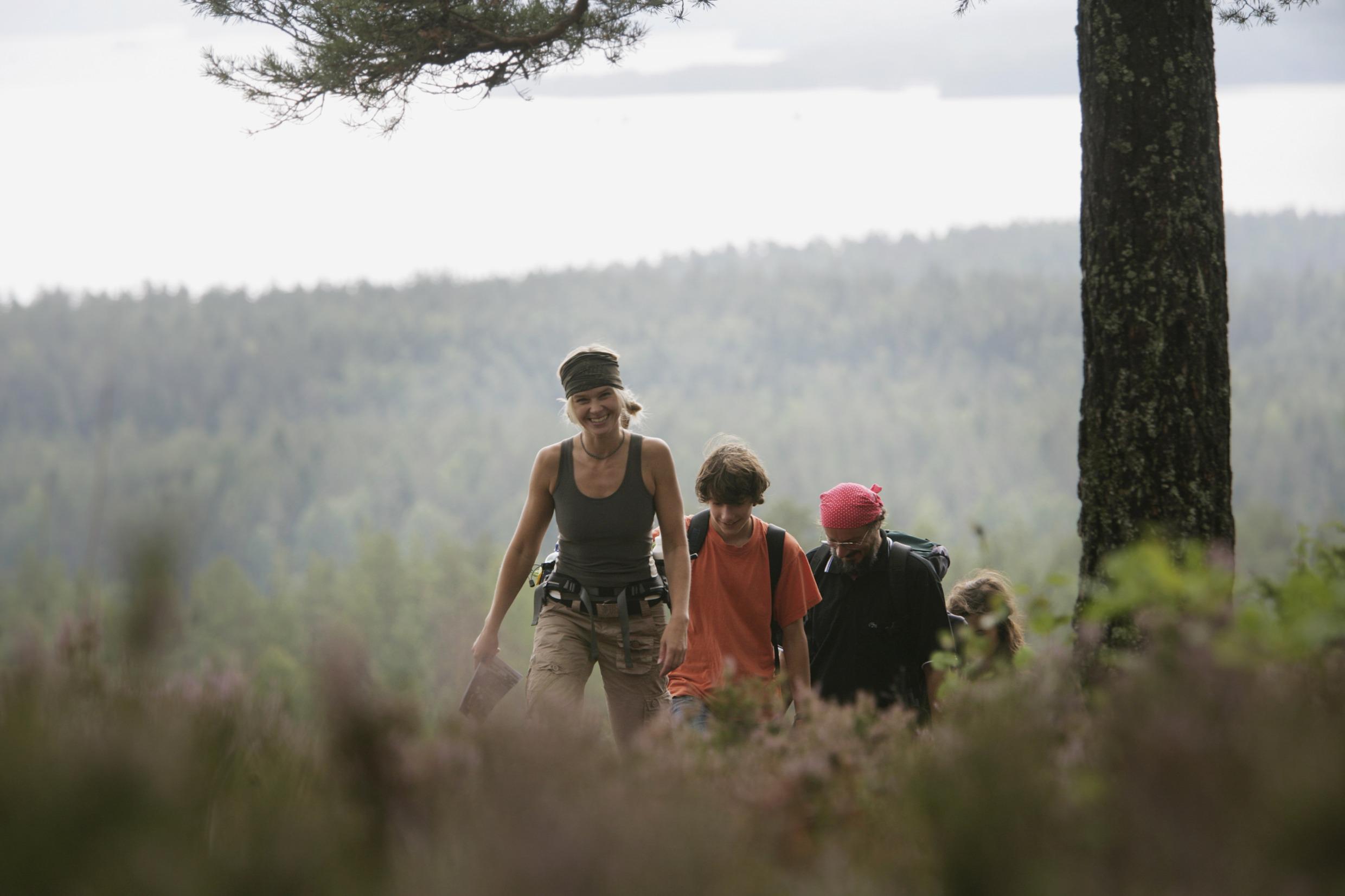 Hiking i Glaskogen nature reserve, Värmland