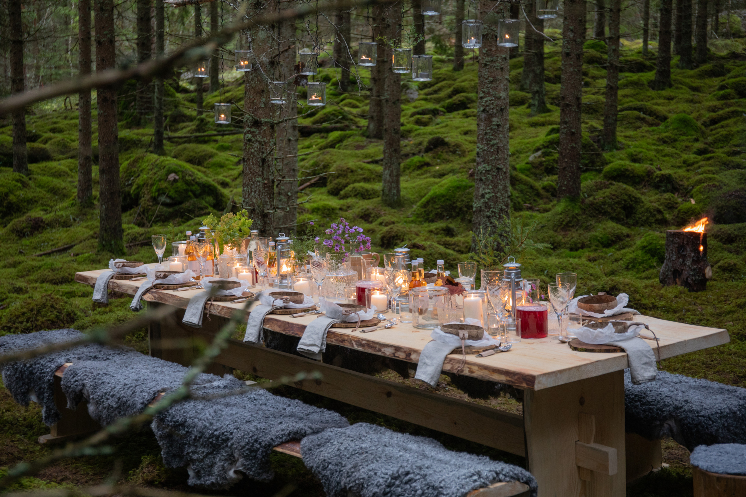 A table set for dinner in the forest, with candles and a fireplace.