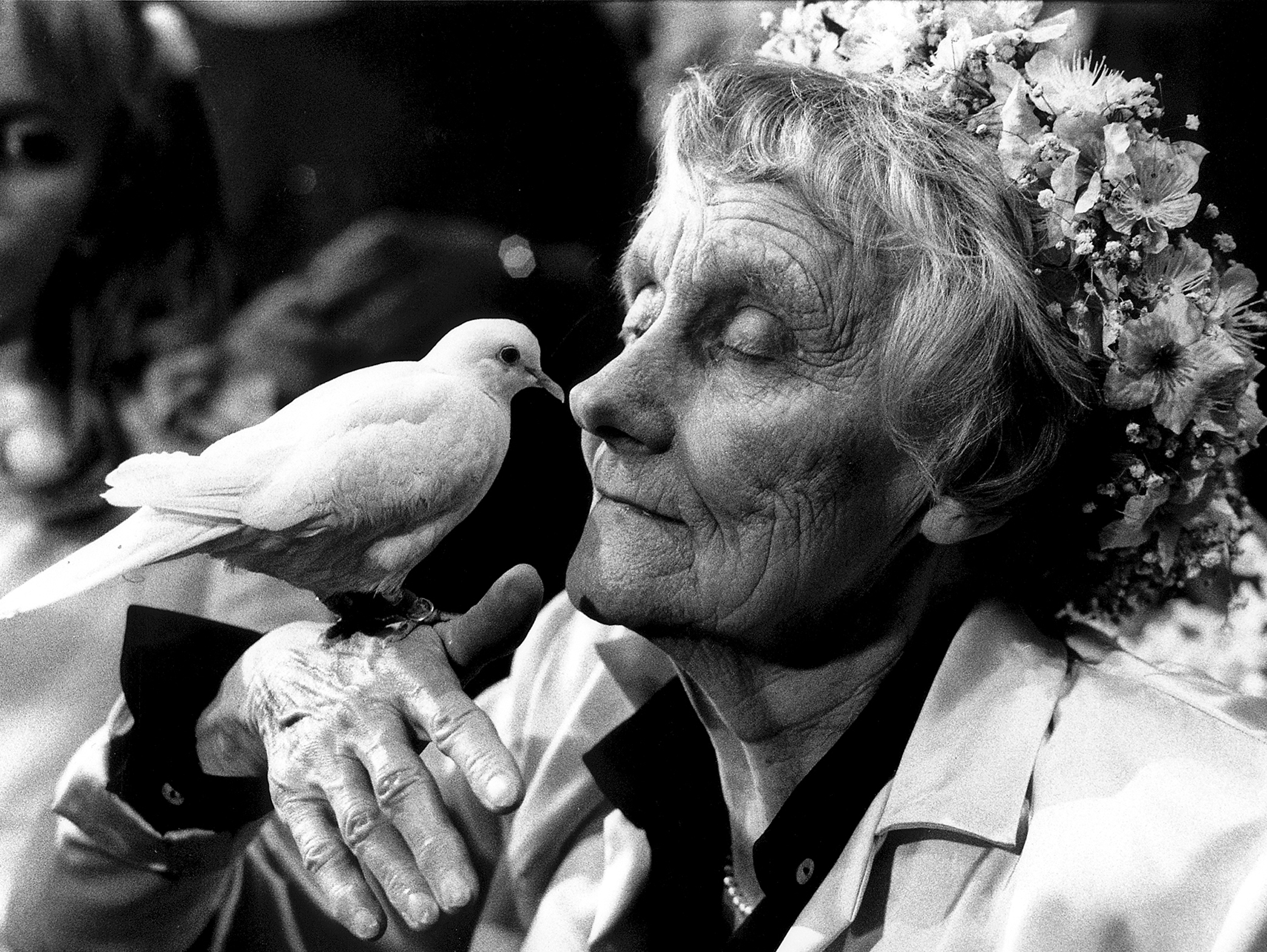 Astrid Lindgren holding a dove during the celebration of her 80th birthday.