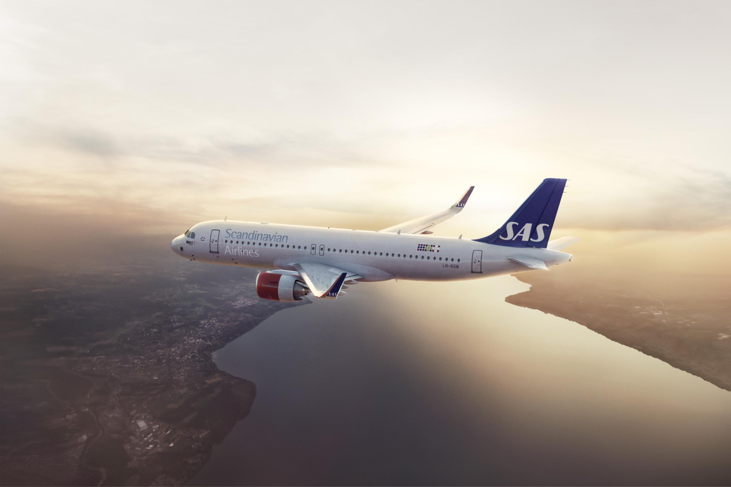 vue aérienne d'un avion de la compagnie Scandinavian Airlines